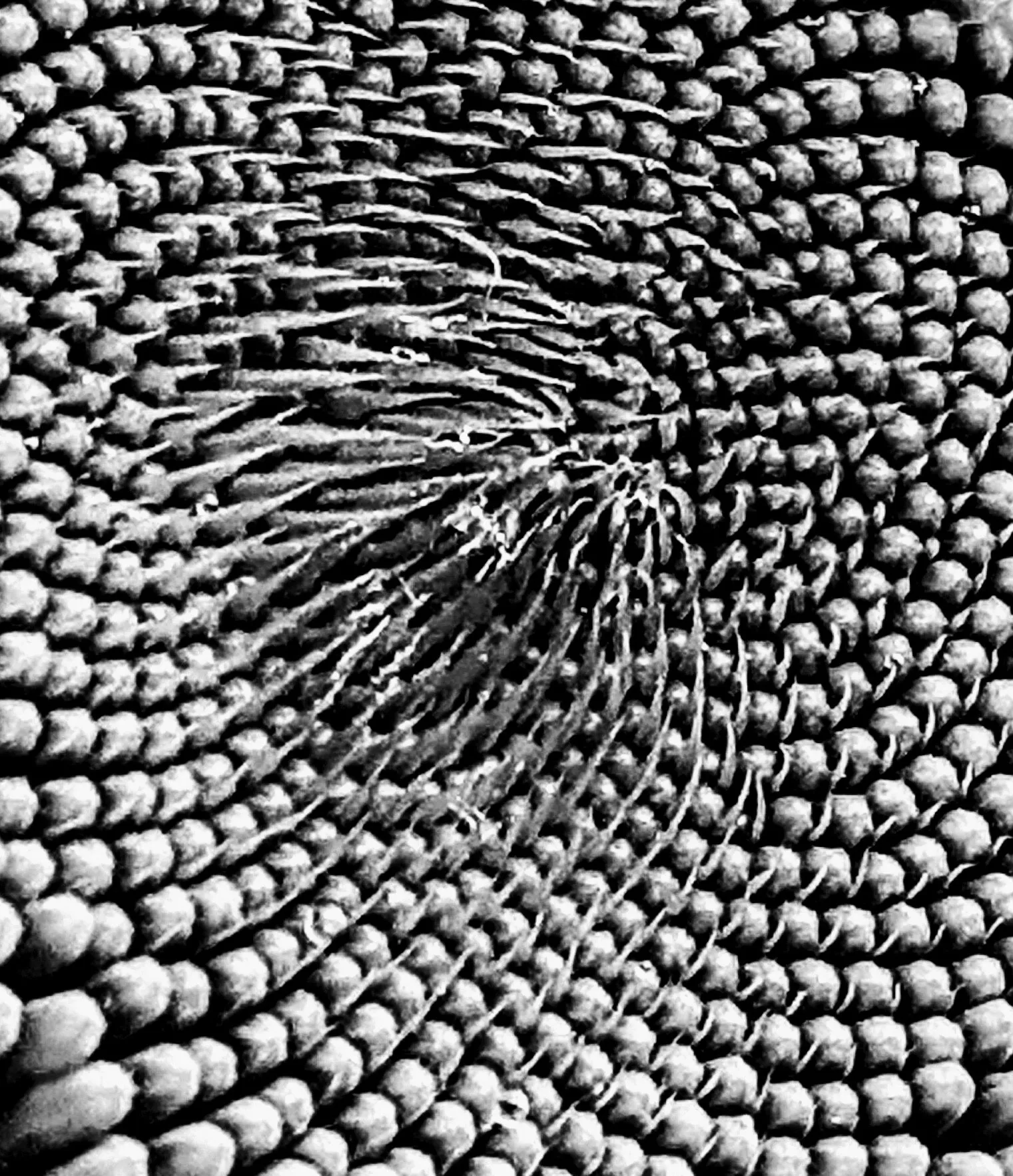 Solar Powered Fibonacci Sequence