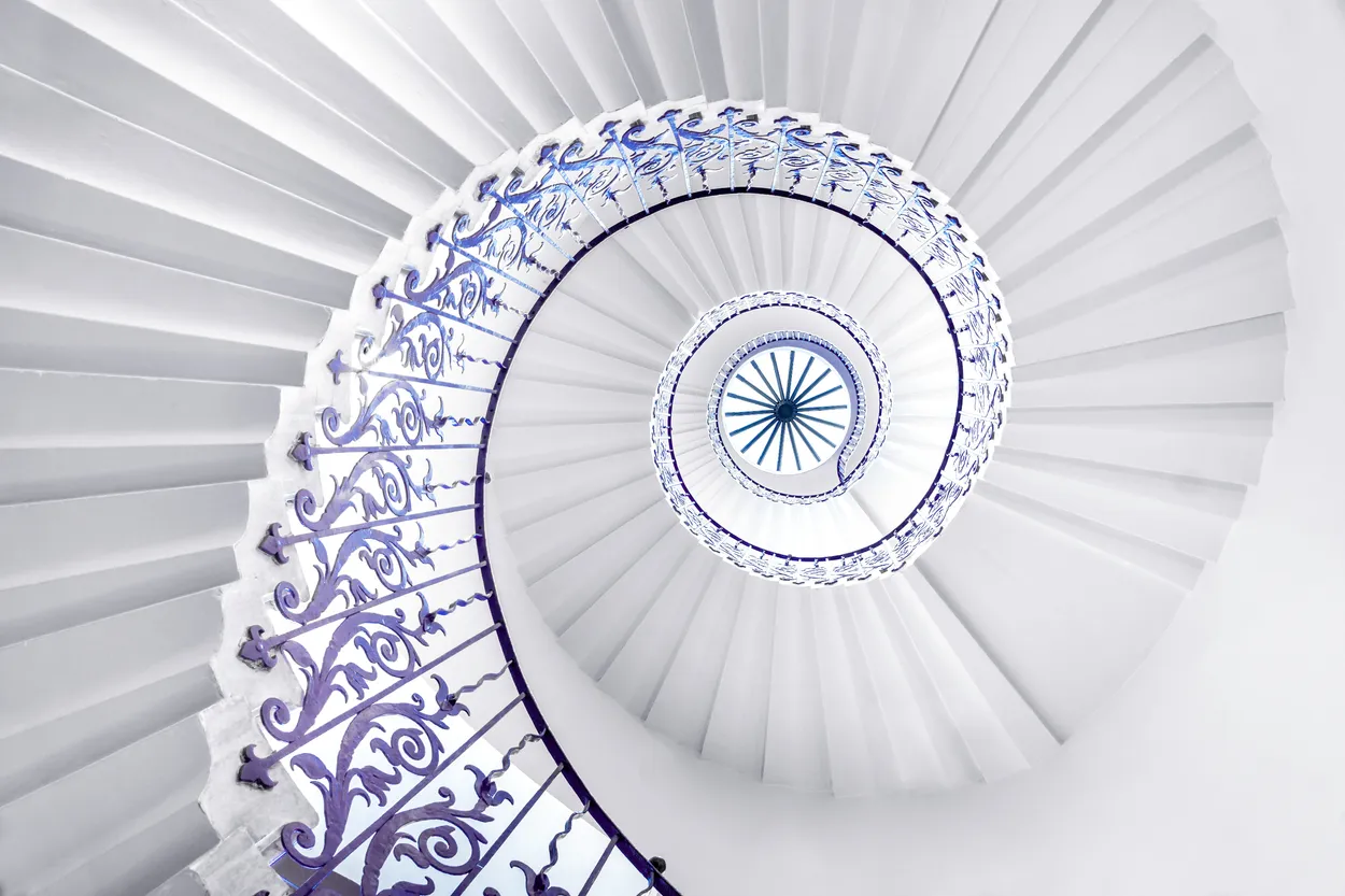 Entry 26520435