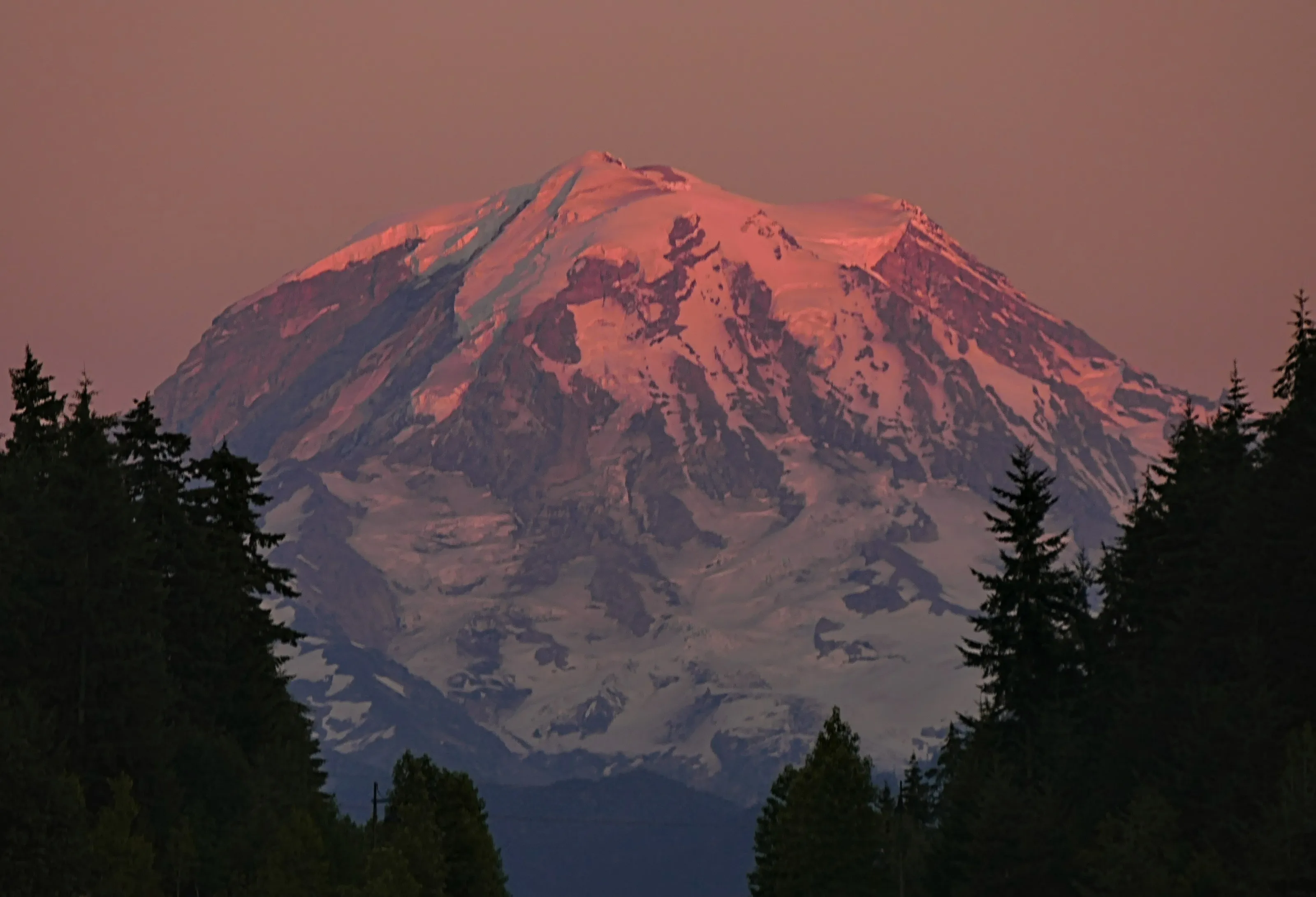 Pink sunset on Mount Rainier