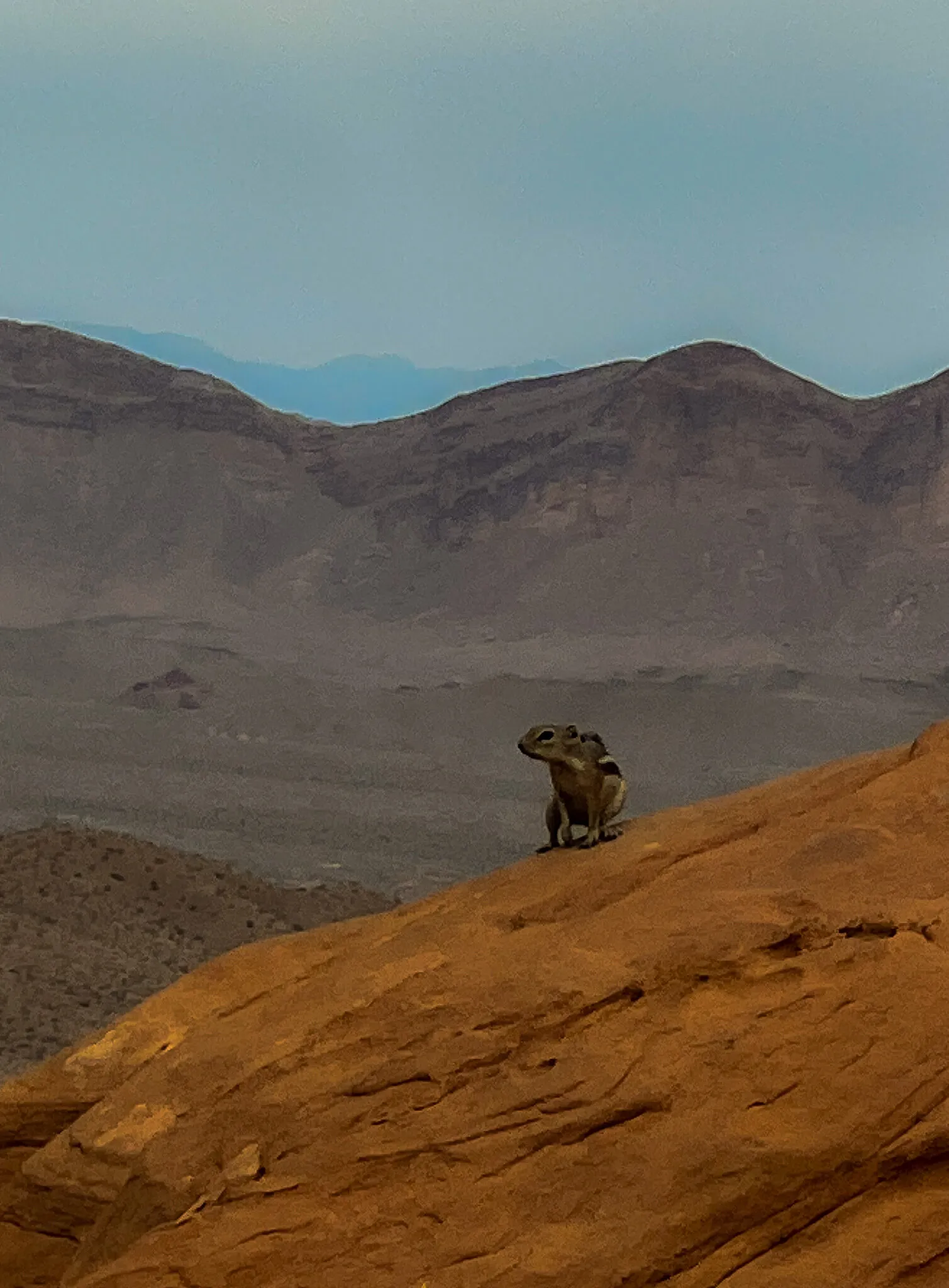 In the Valley of Fire