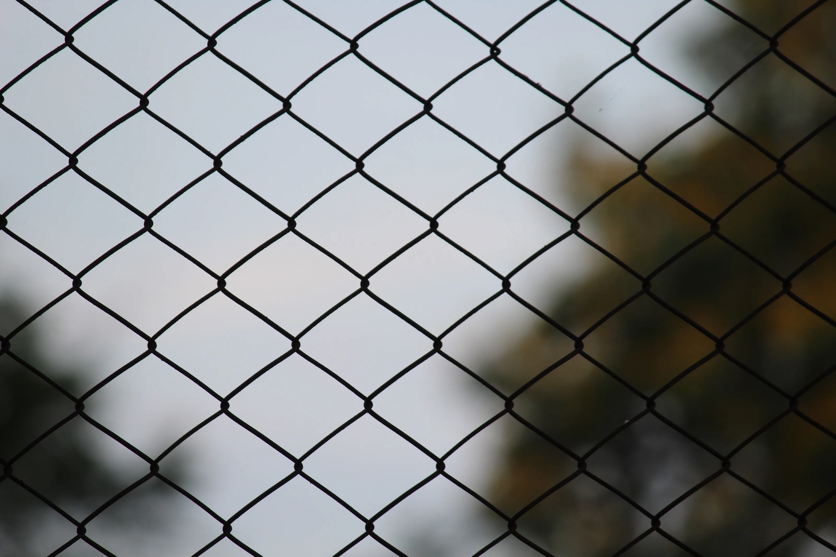 Fence