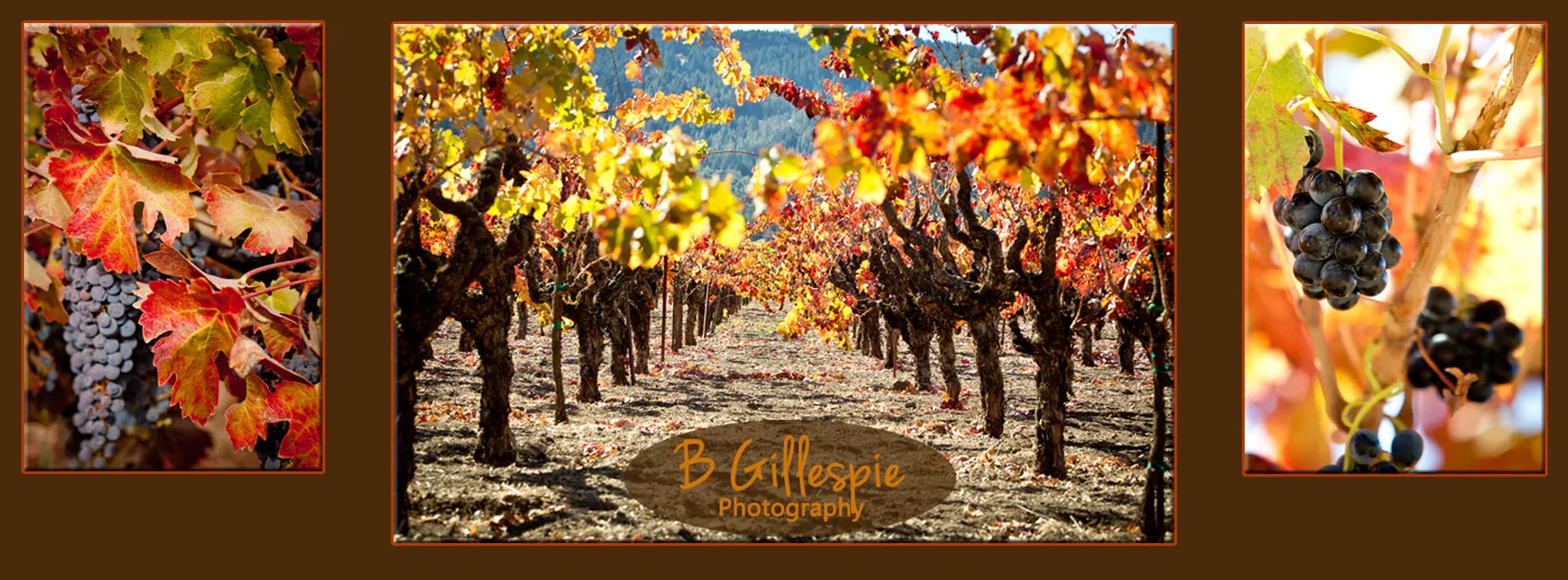 Napa Valley