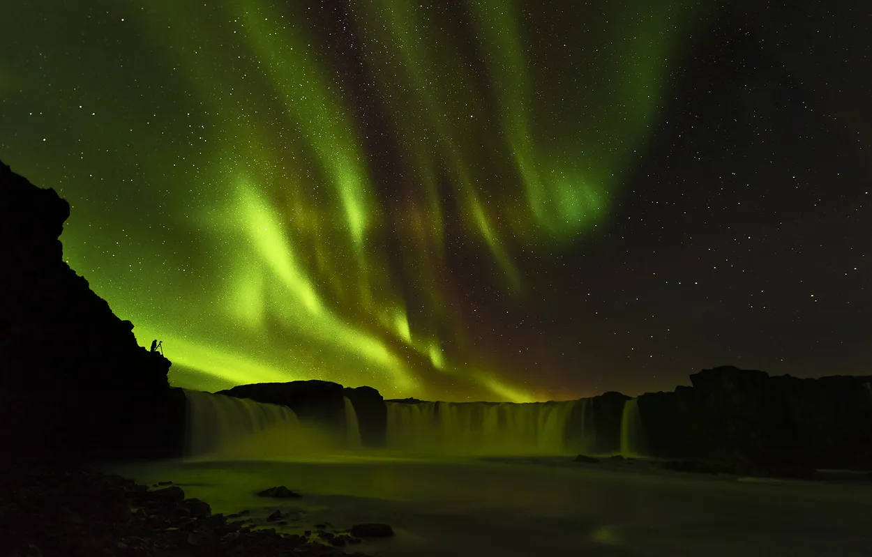 Entry 17350857