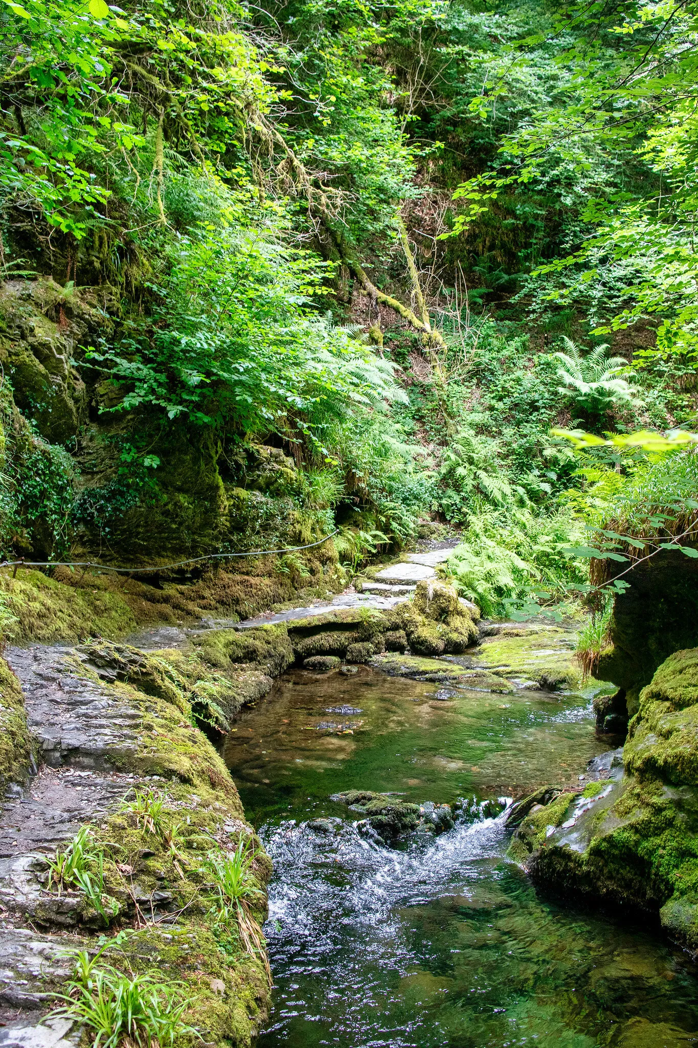 Lydford Gorge