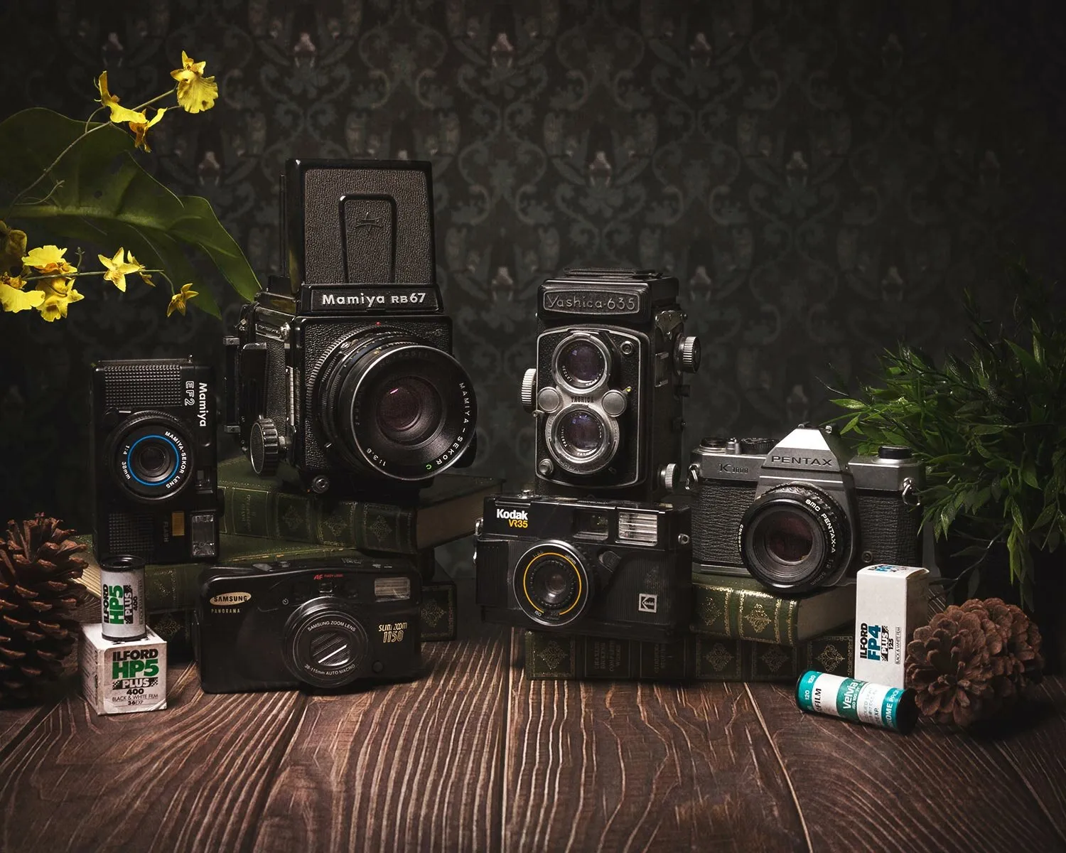 Classic Cameras #1