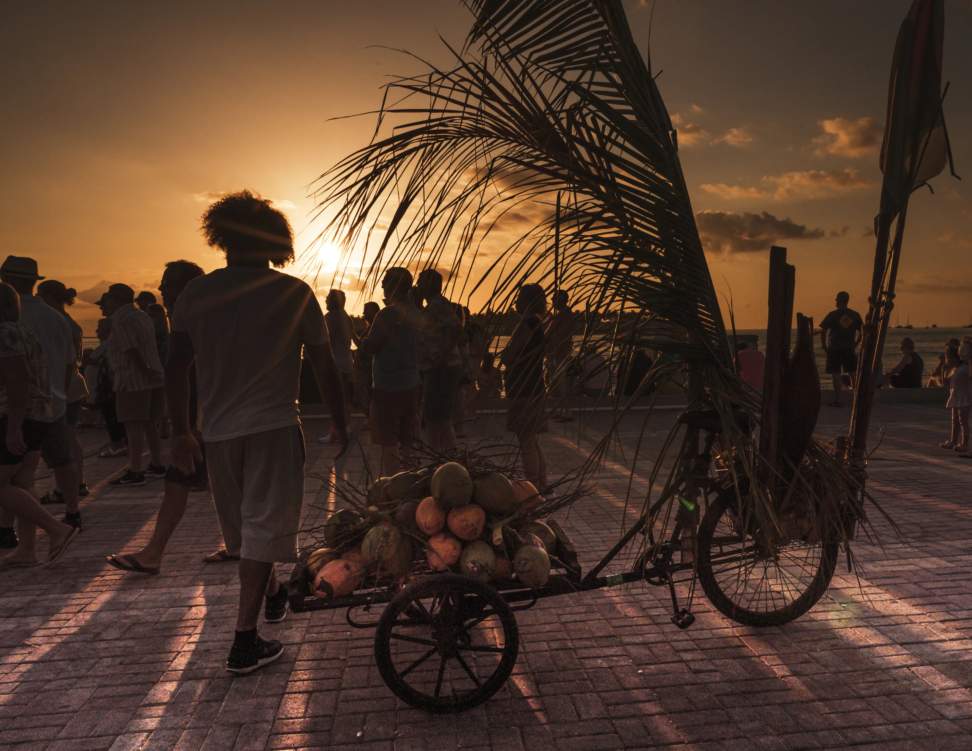 Sunset Celebration Coconut Salesman