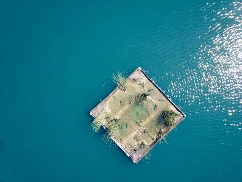 Bird island