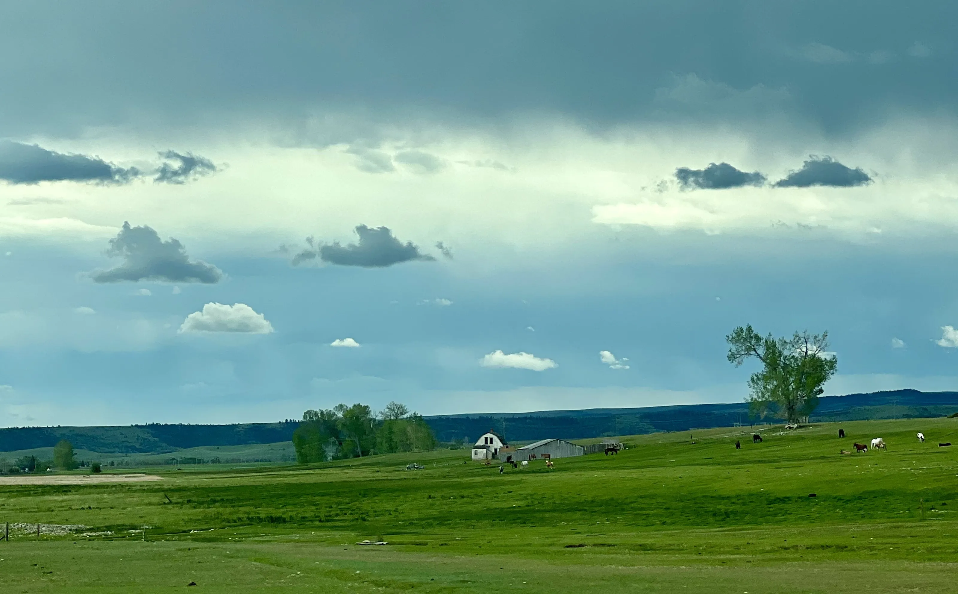 Montana Blue Before the Storm