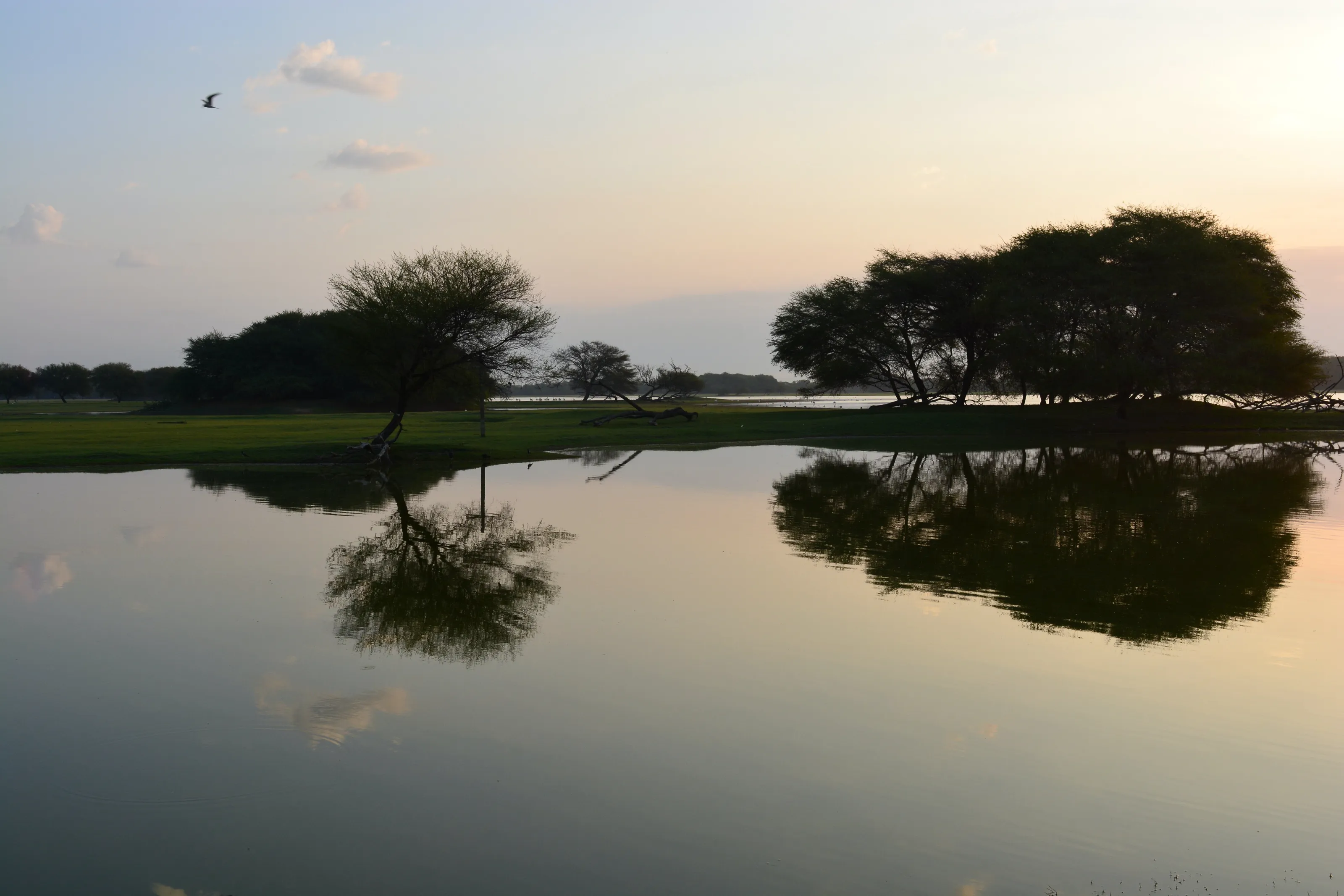 Land scape