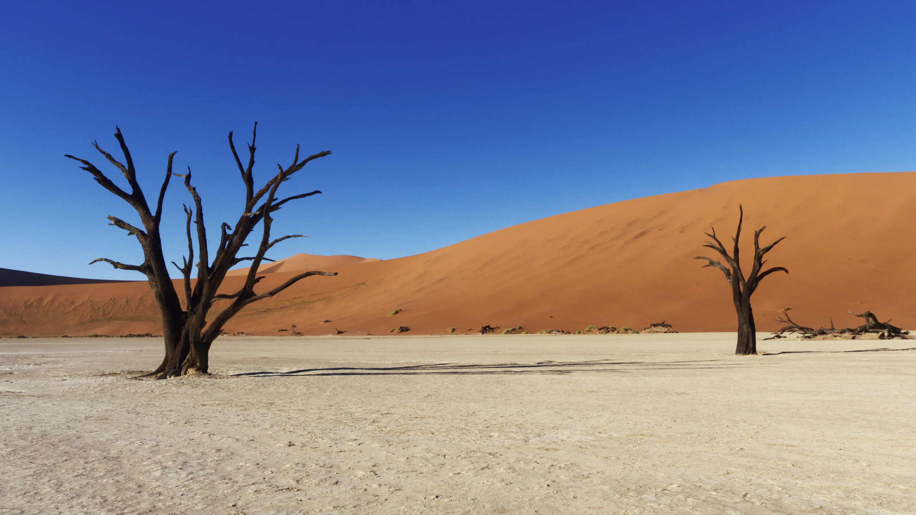 Deadvlei