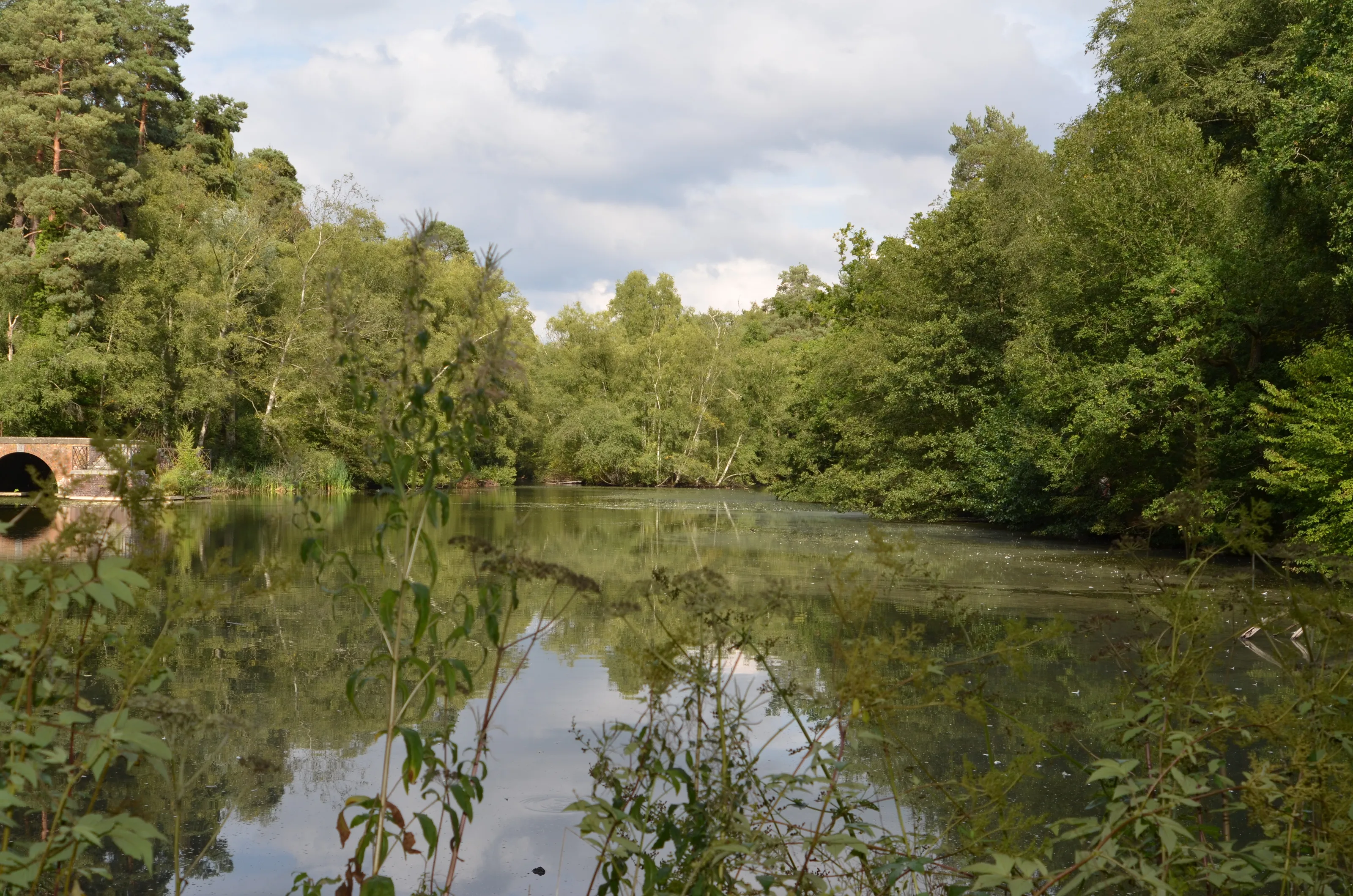 A country walk