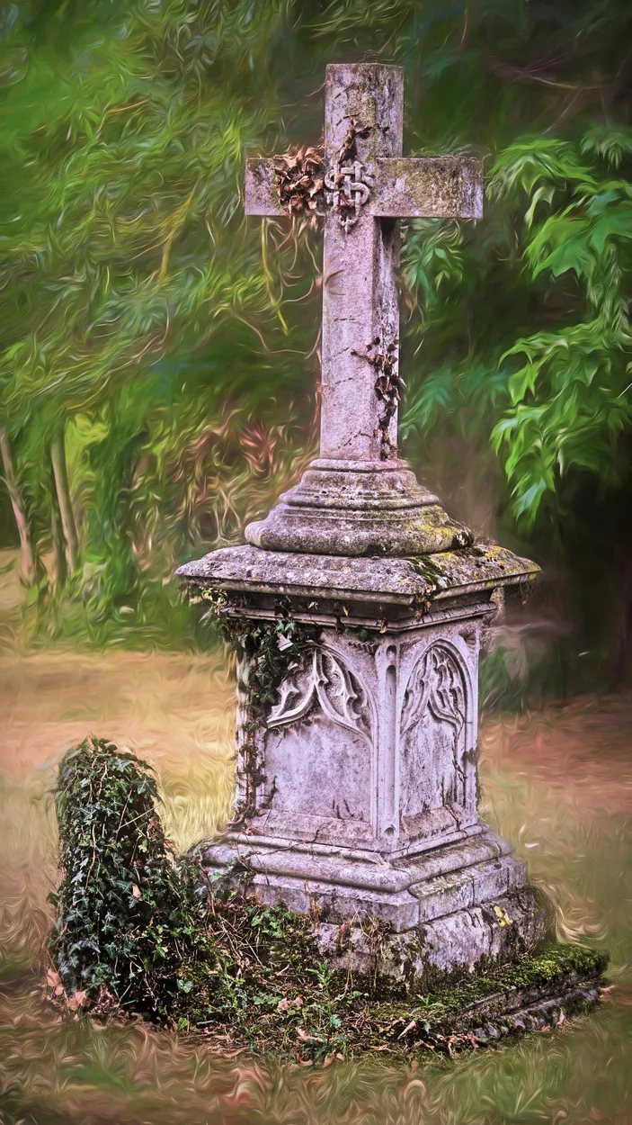Entry 18918516
