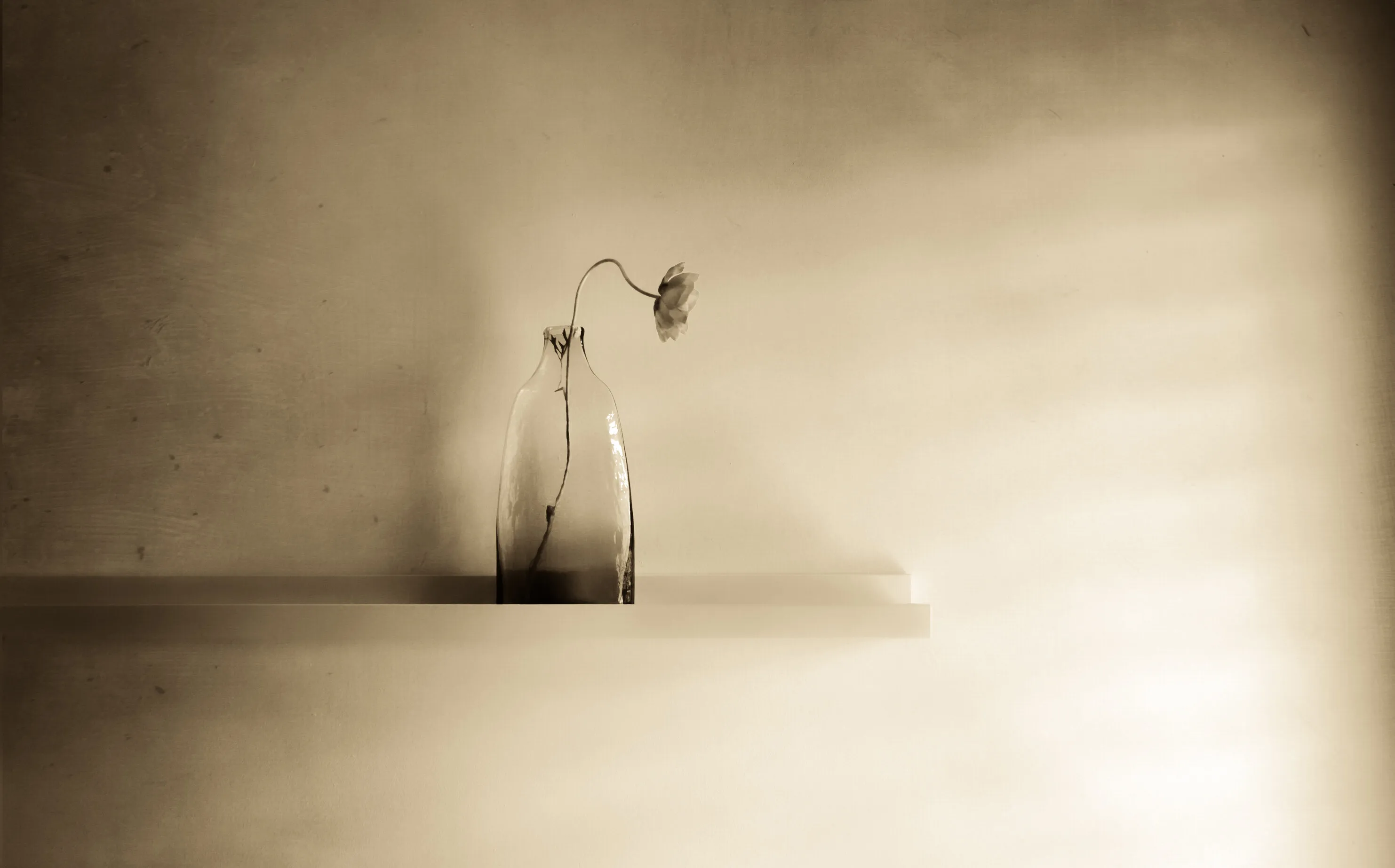 Colour-toned images