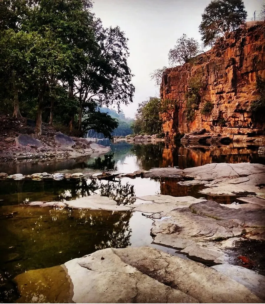 Woods of Madhya Pradesh India