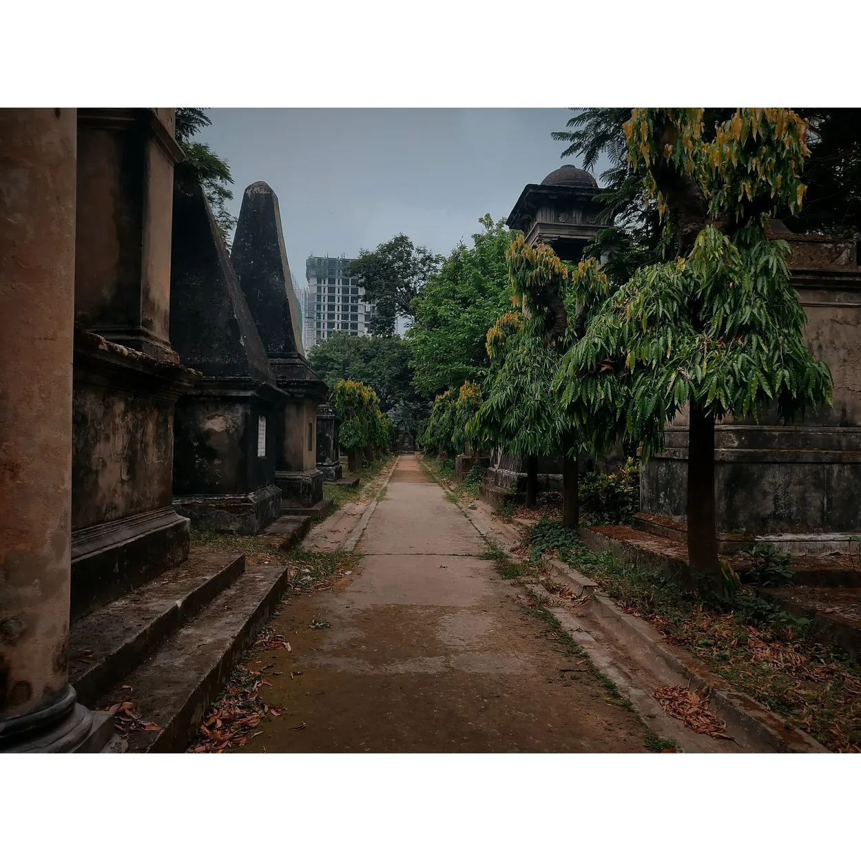Entry 14056448