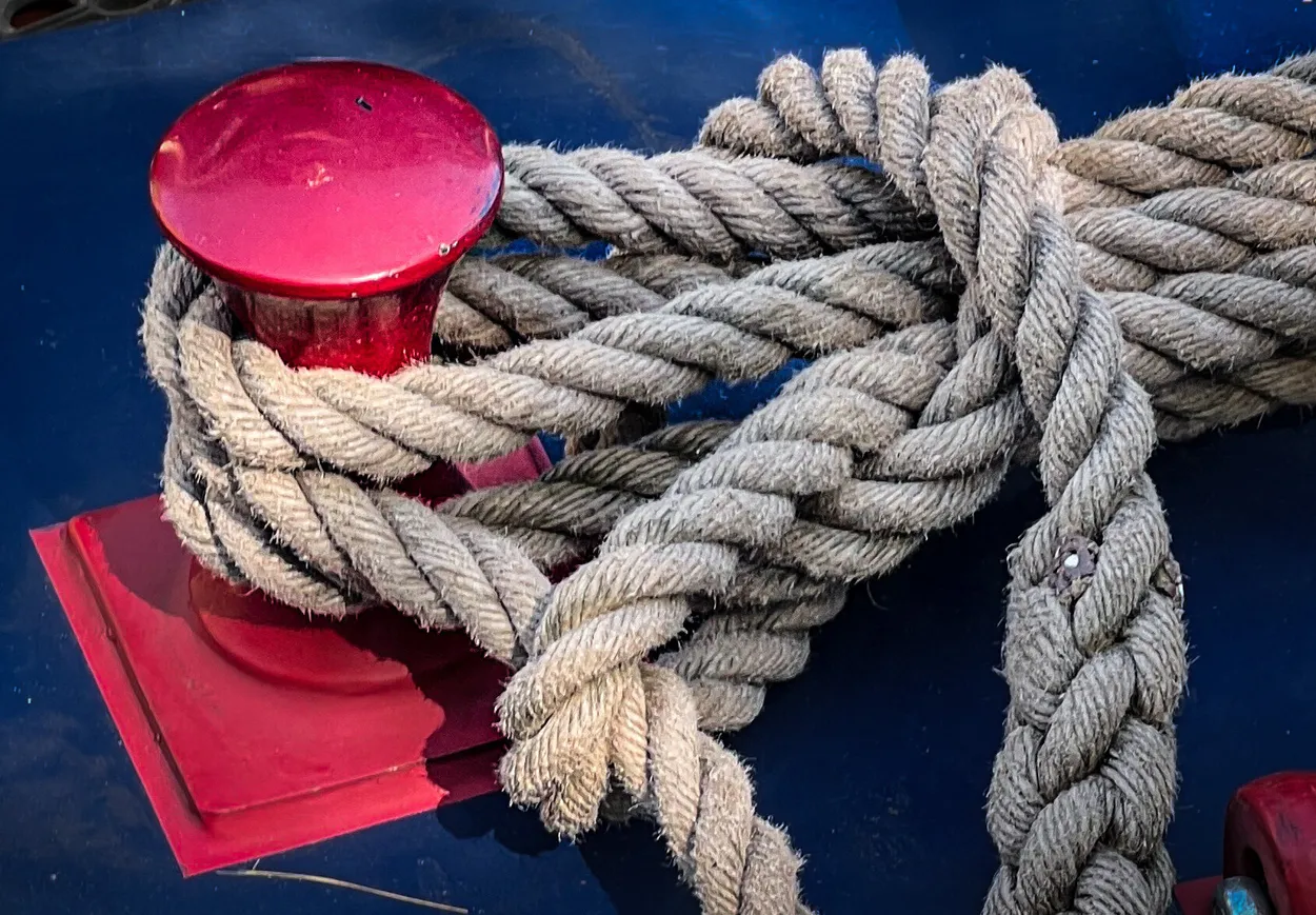 Entry 15977849