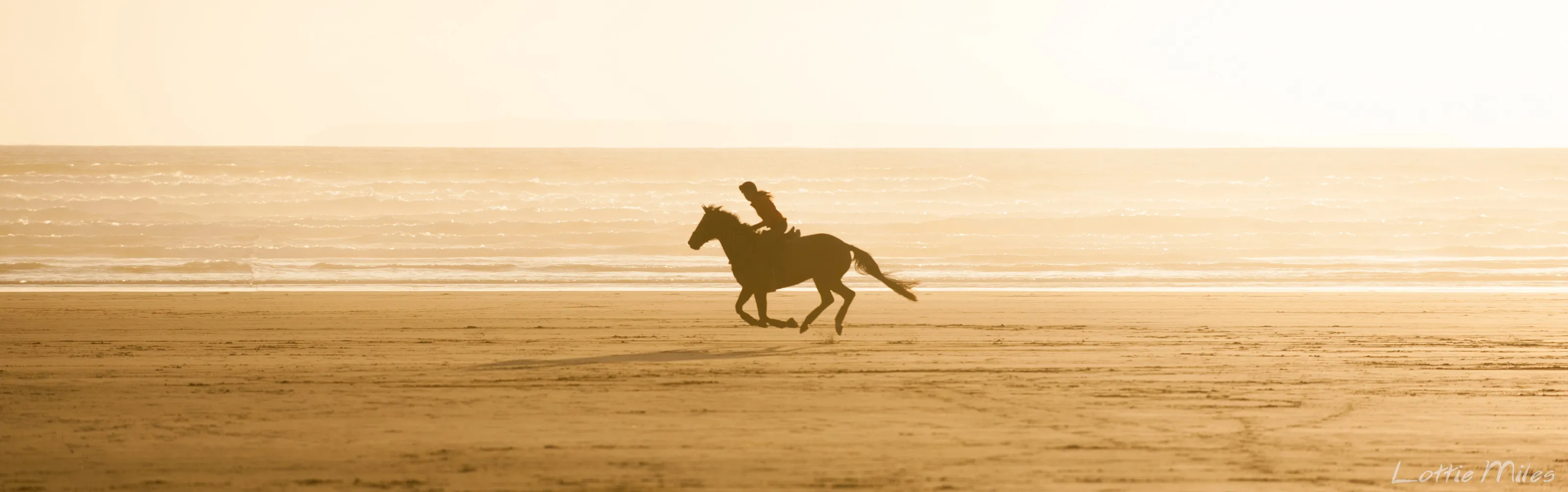 Galloping on the Ho!