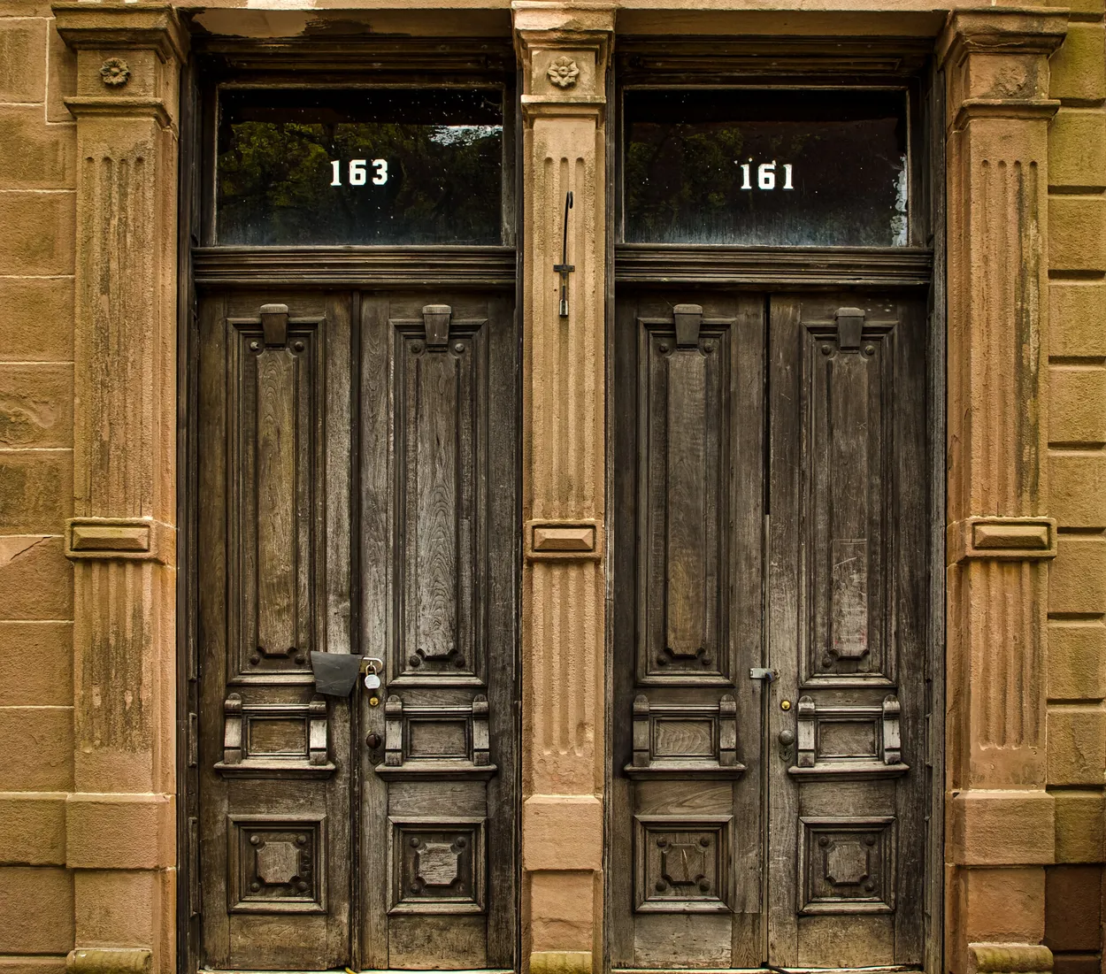 Entry 23408320
