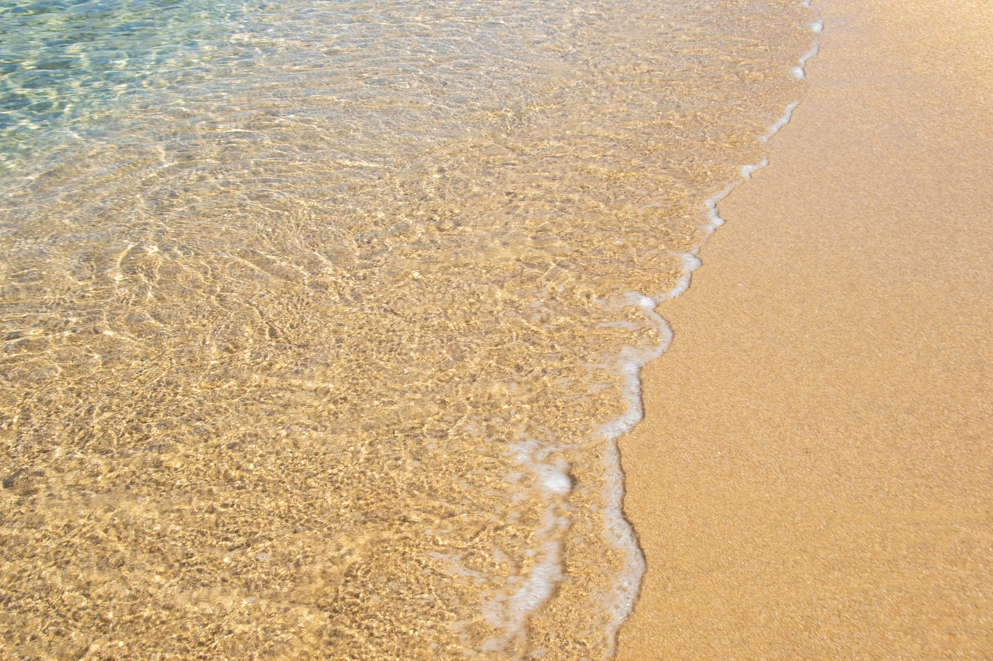 The Shallows