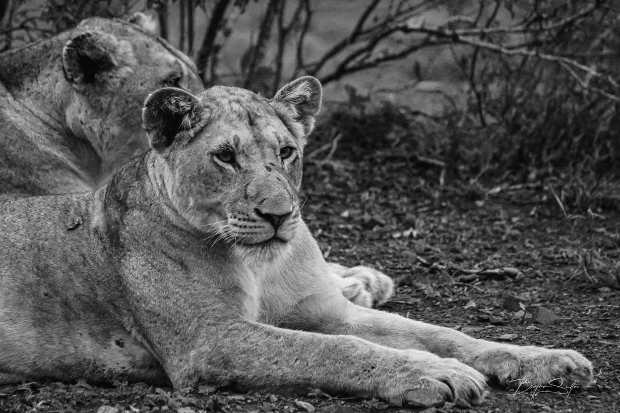 Entry 14070890