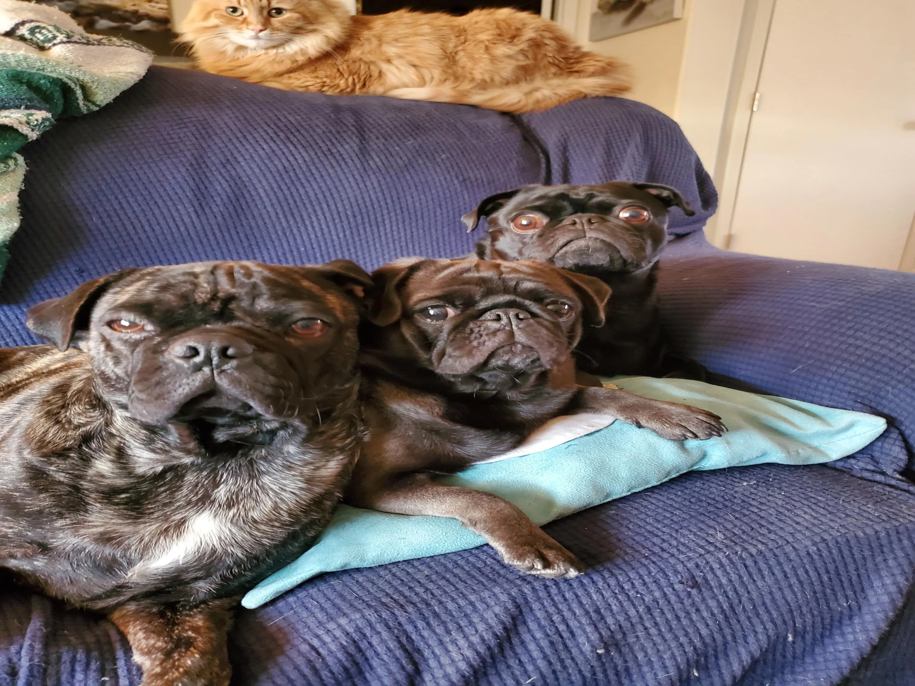 Family portrait