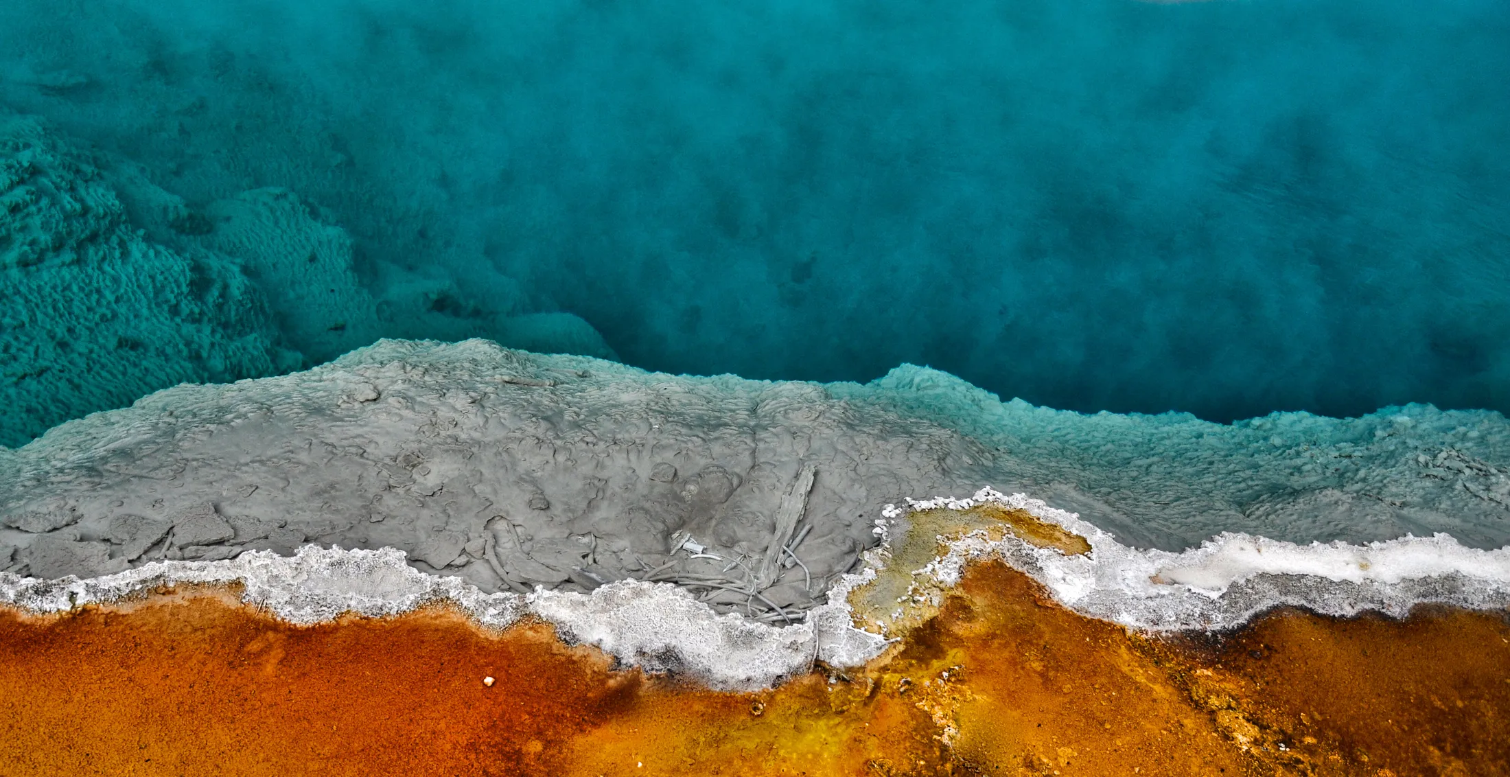 Entry 736775