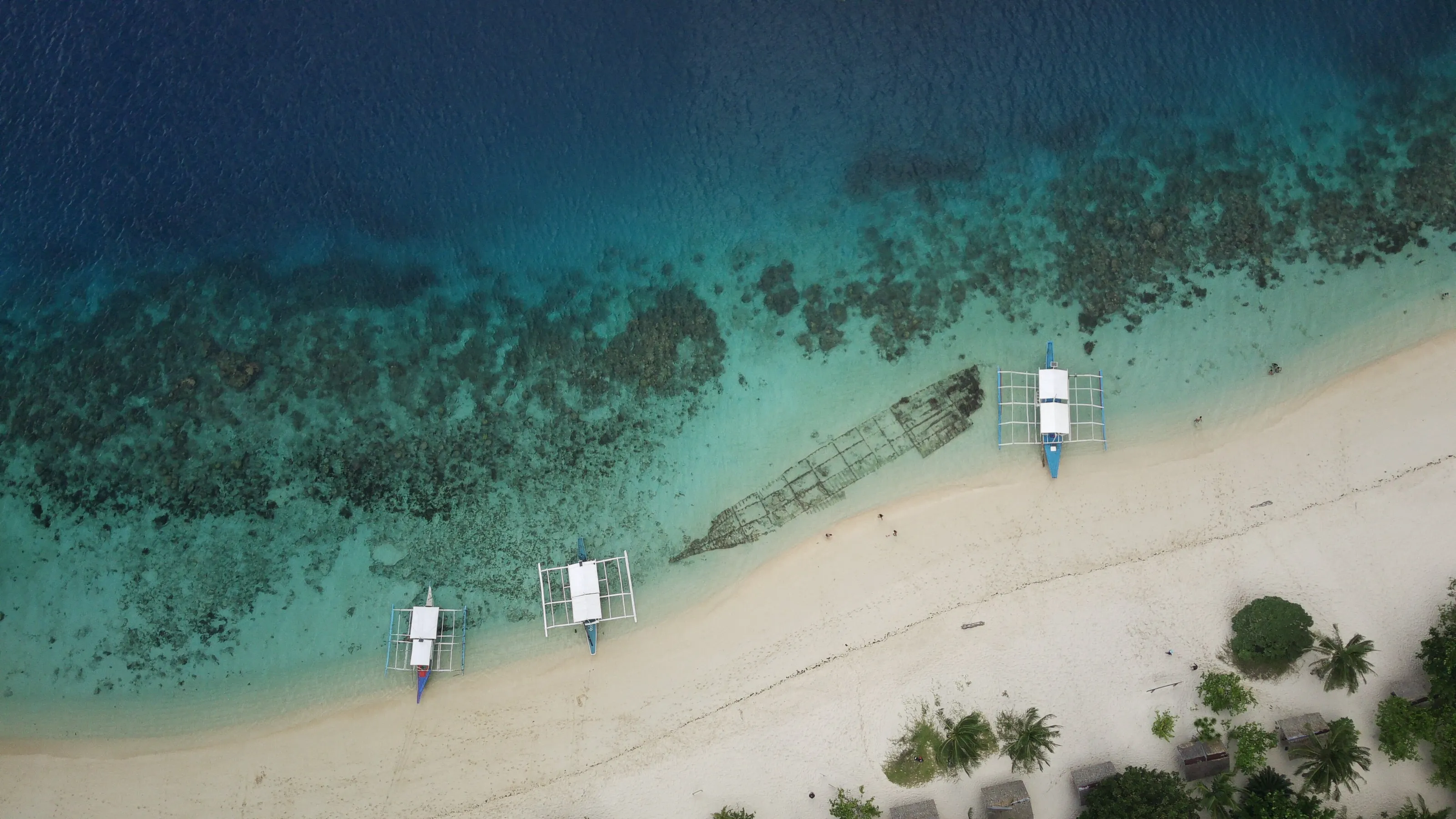 Paradise Island