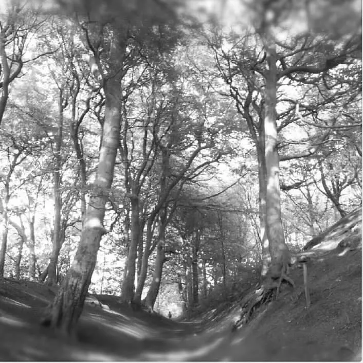 End of the path