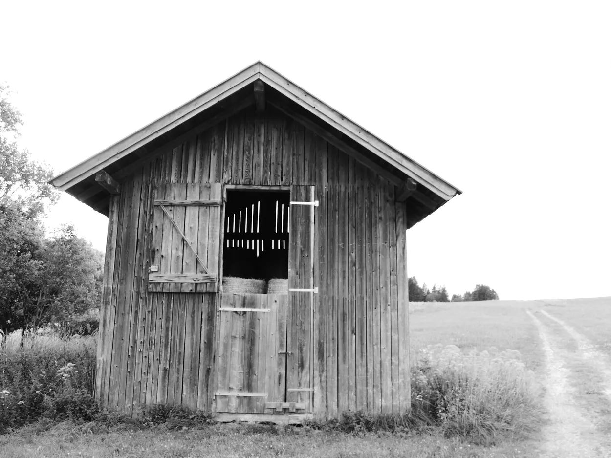 Entry 14091902