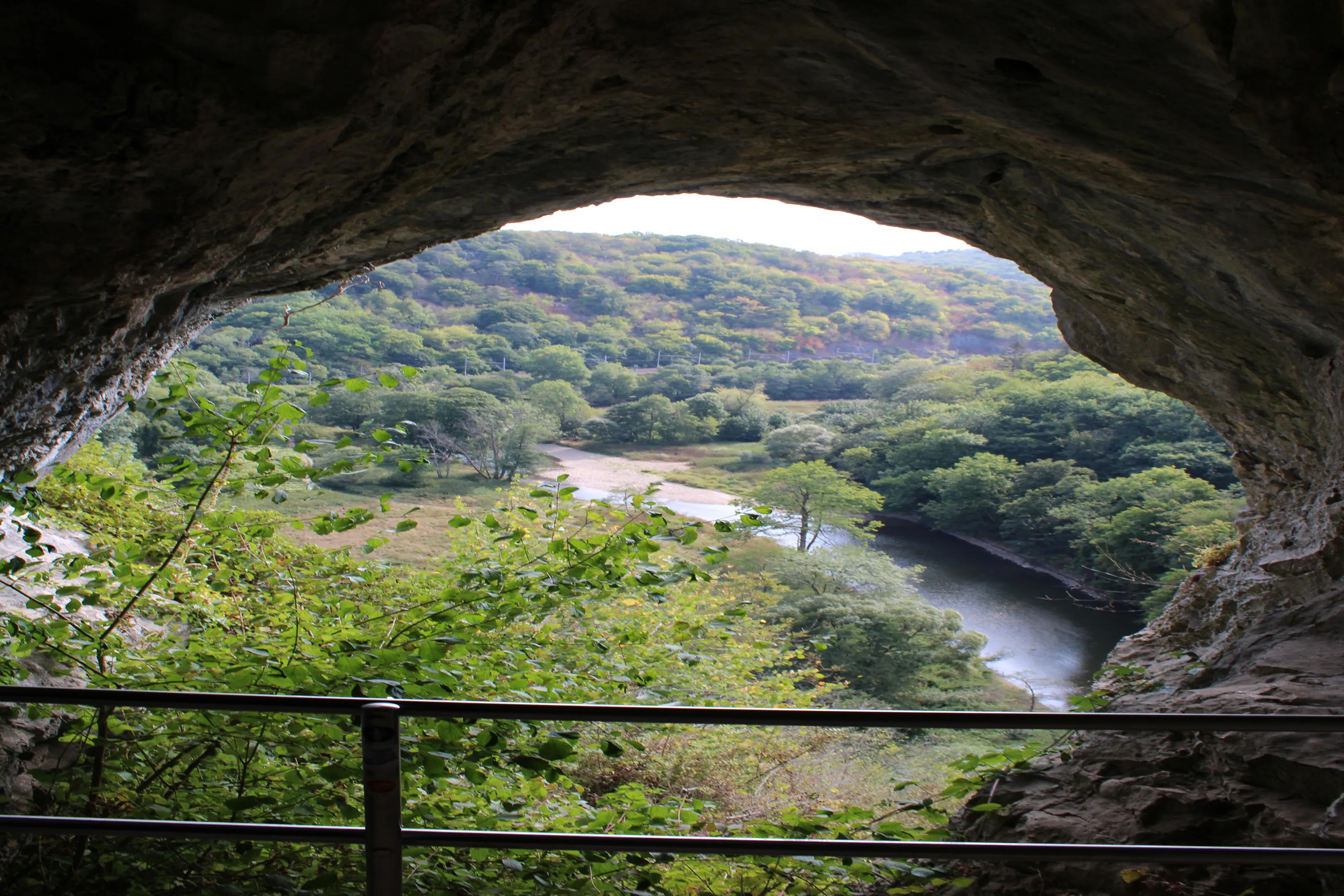 A window to the beautiful world