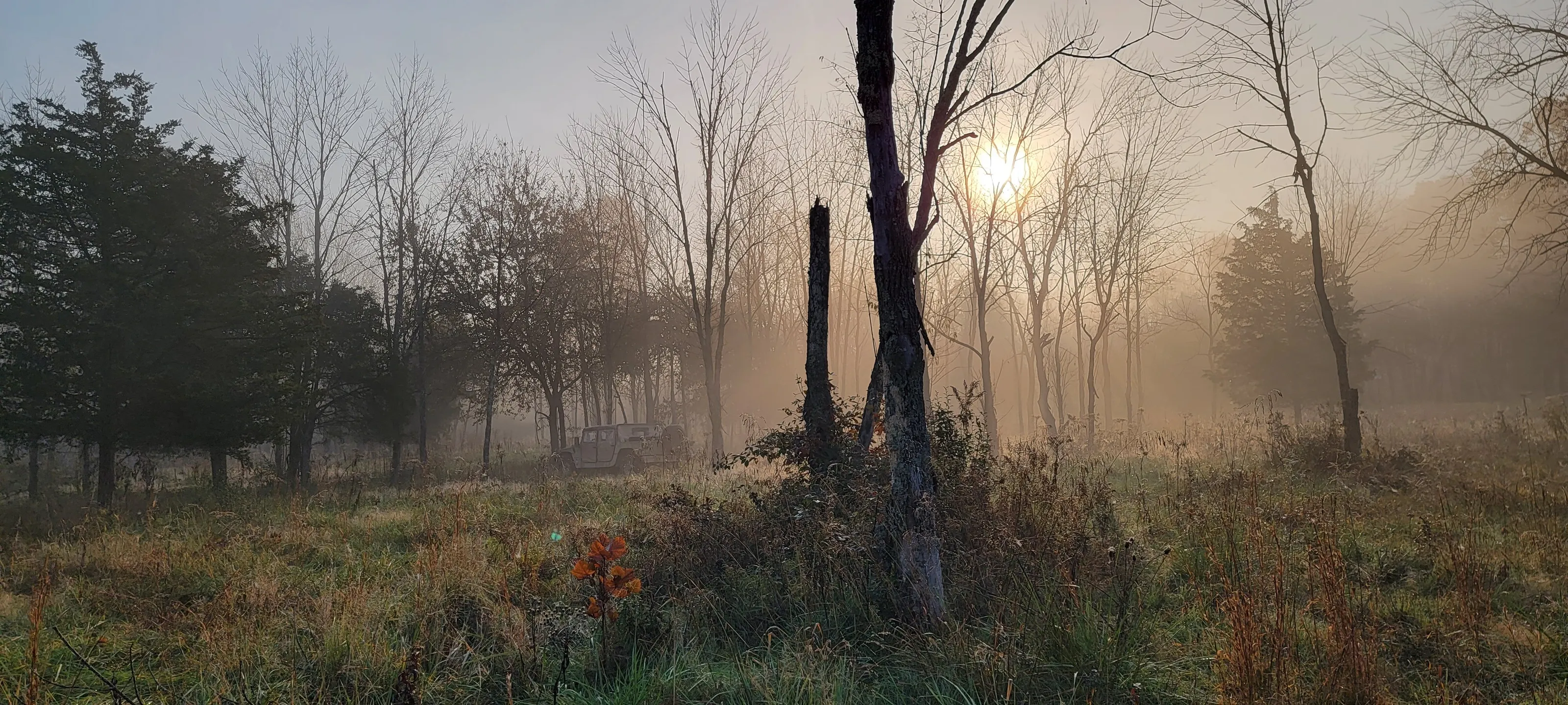 Sunrise Field Training