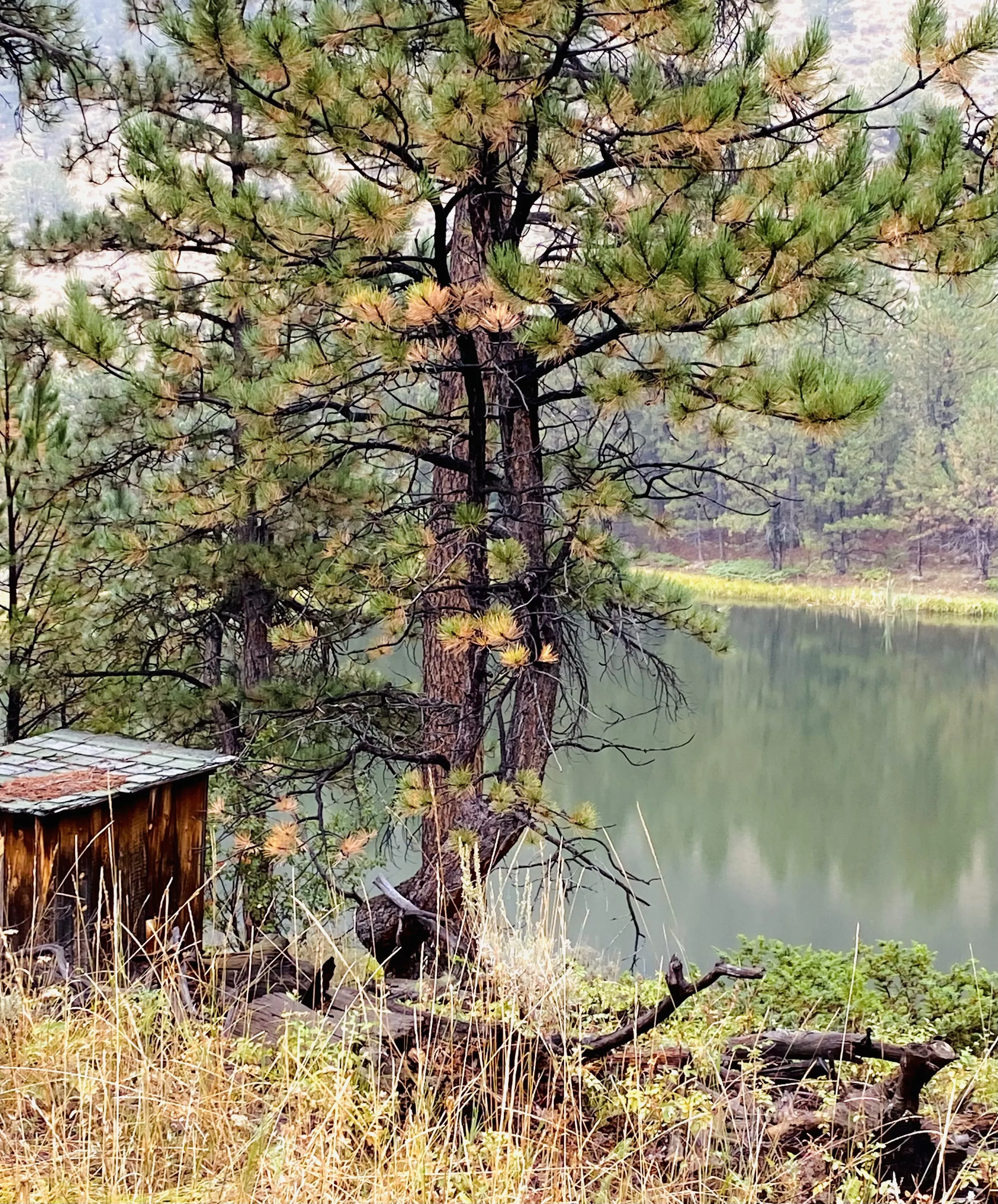 Small hide away