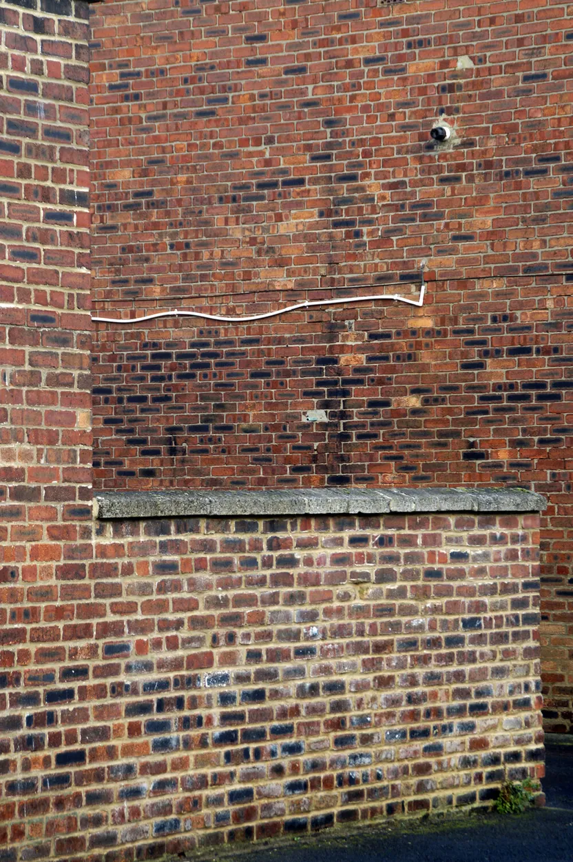Entry 14100982