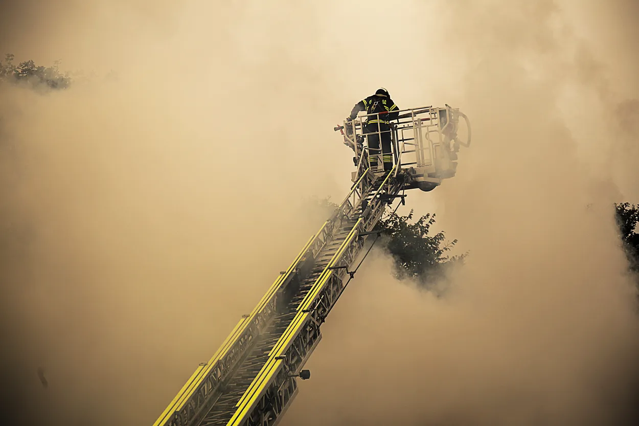 Entry 14805691
