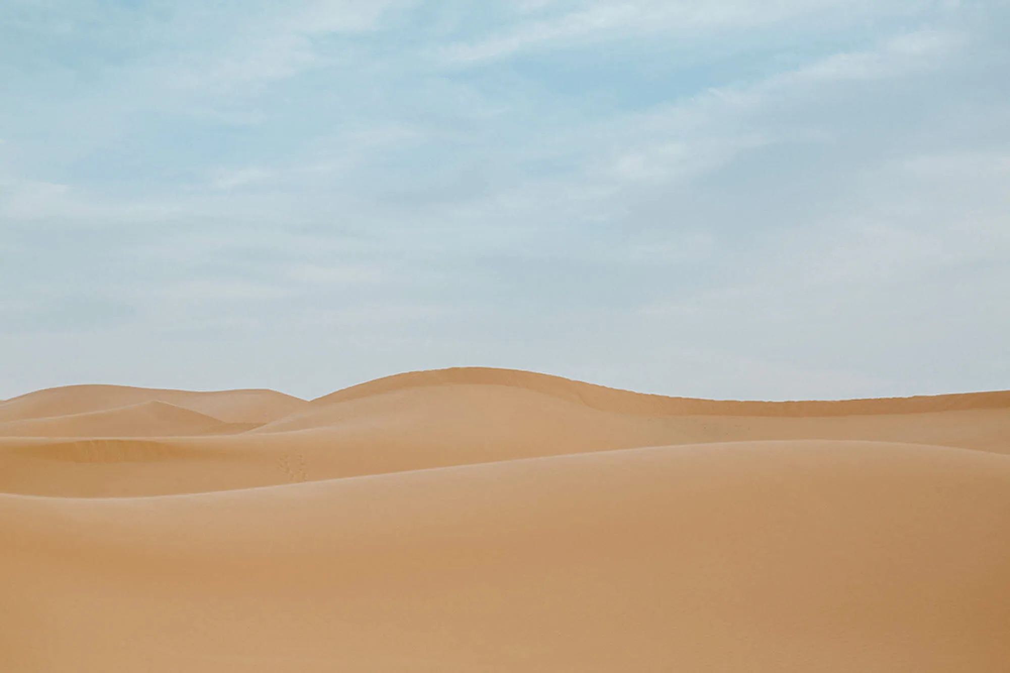 Desert Calm in the Sahara