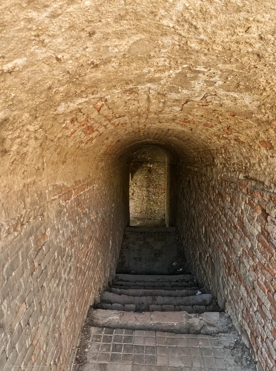 Entry 14114510