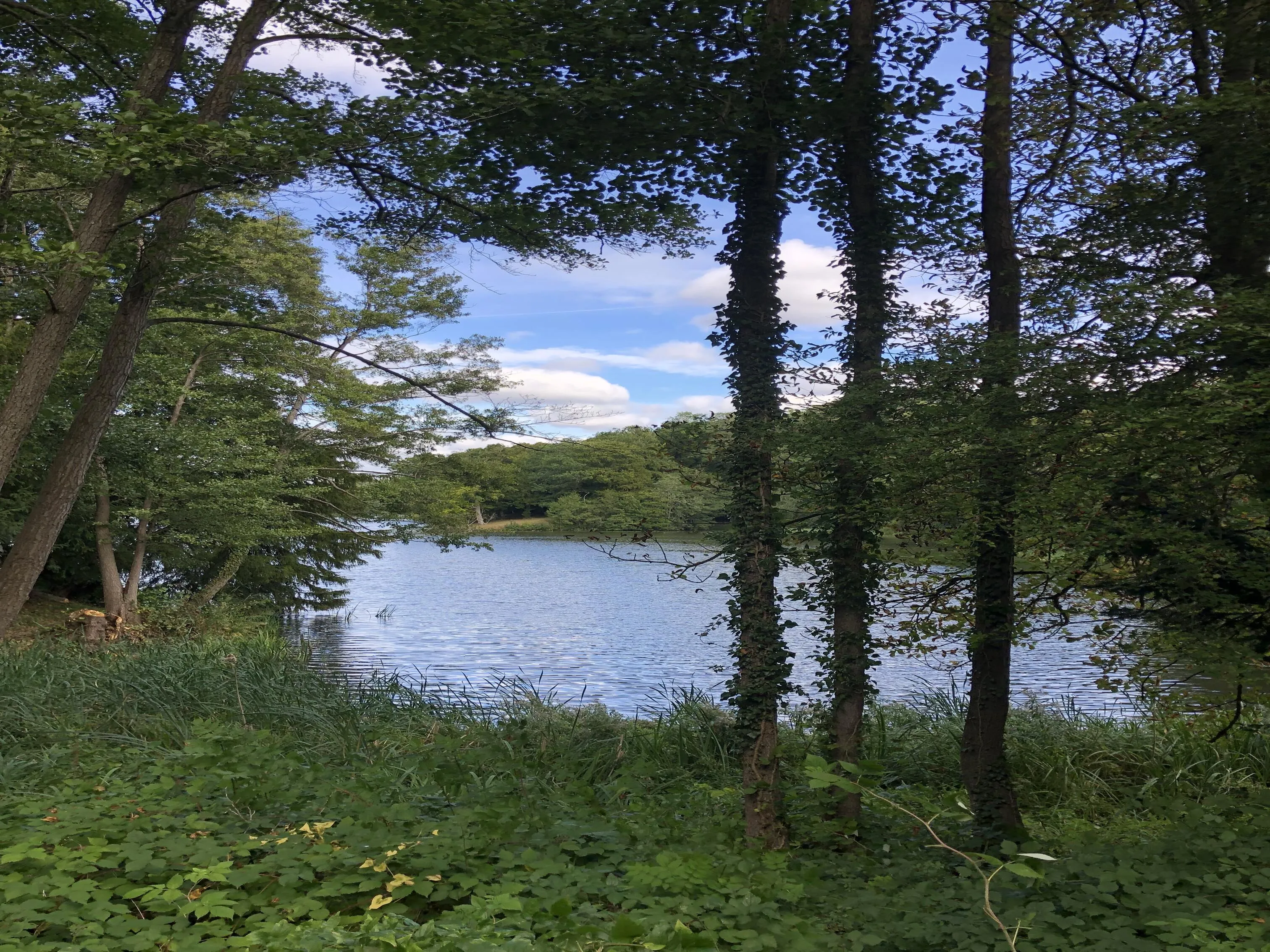 Serenity