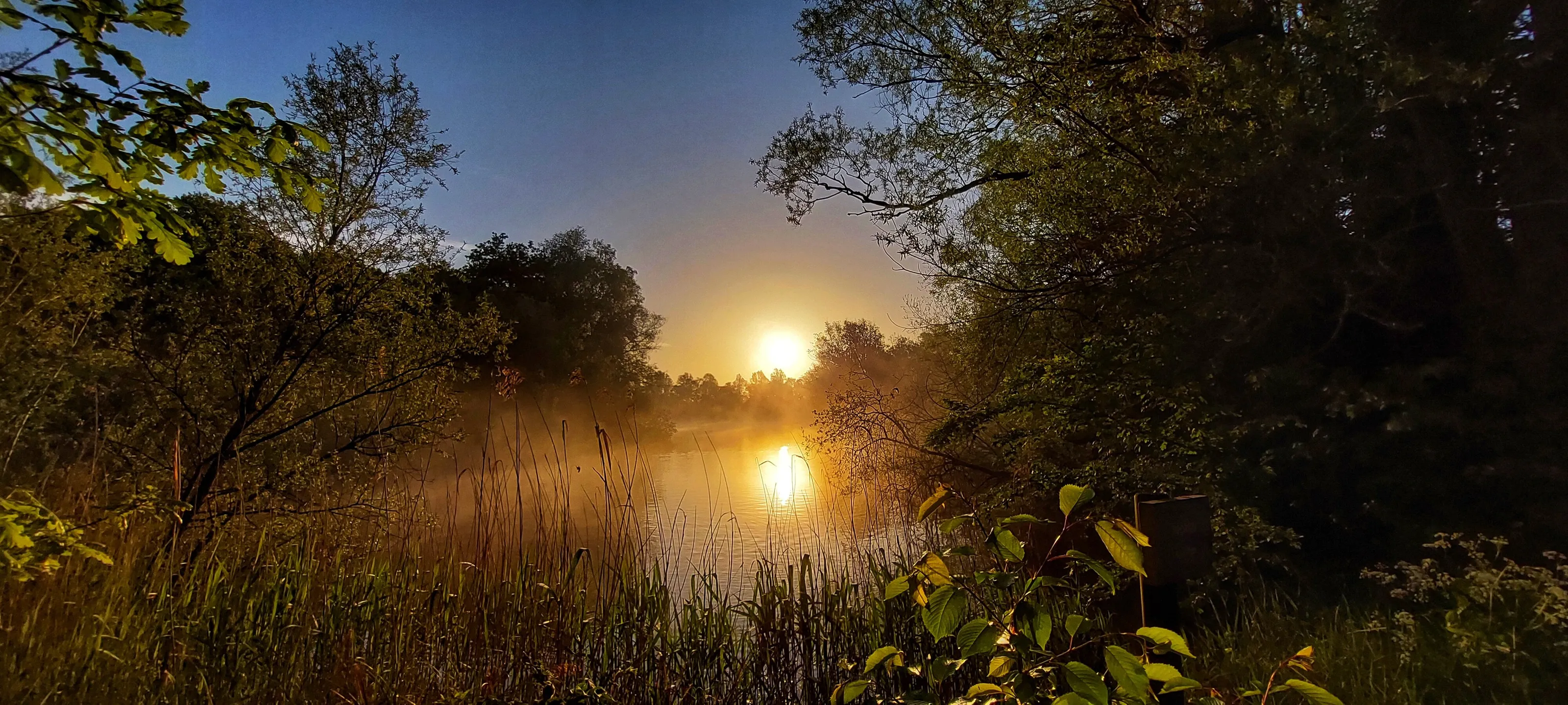 Early riser