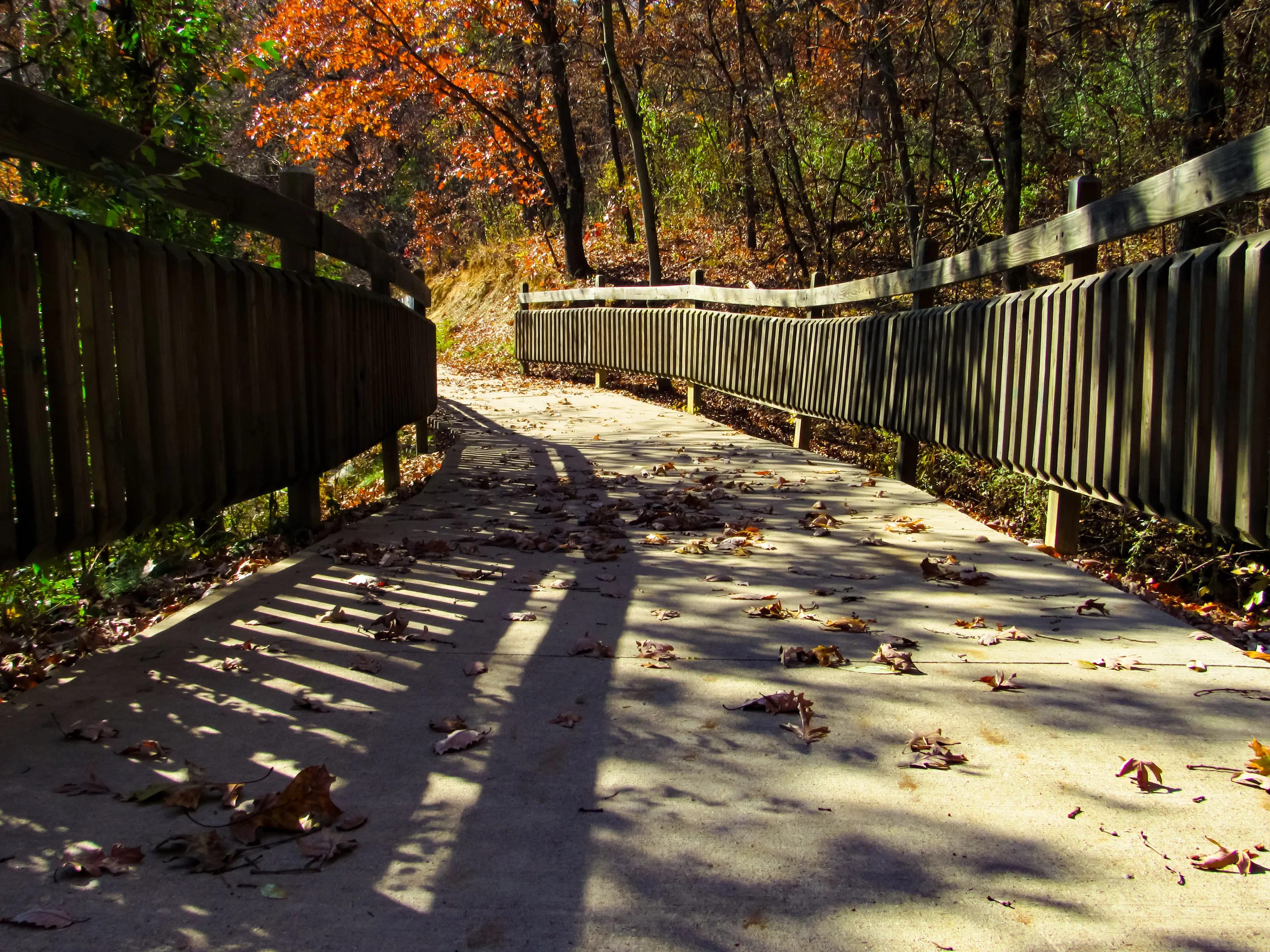 Beautiful Autumn time stroll