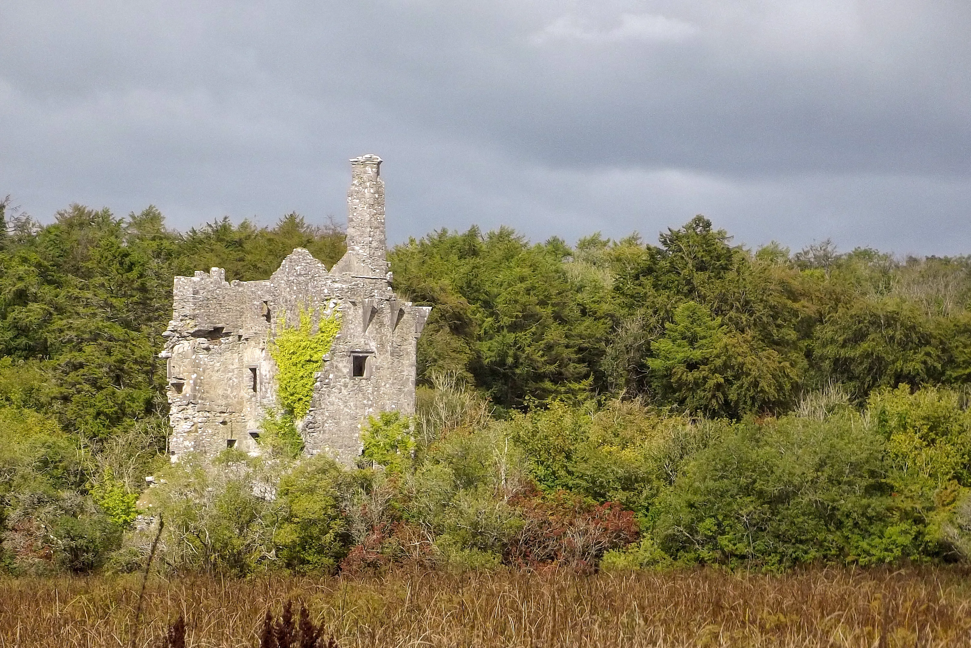 Abandoned castle
