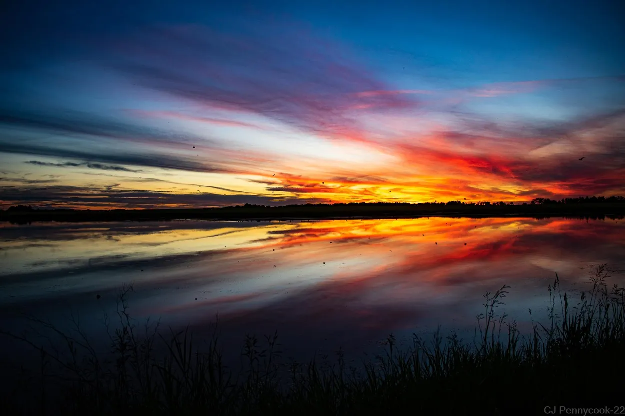 Entry 25335560