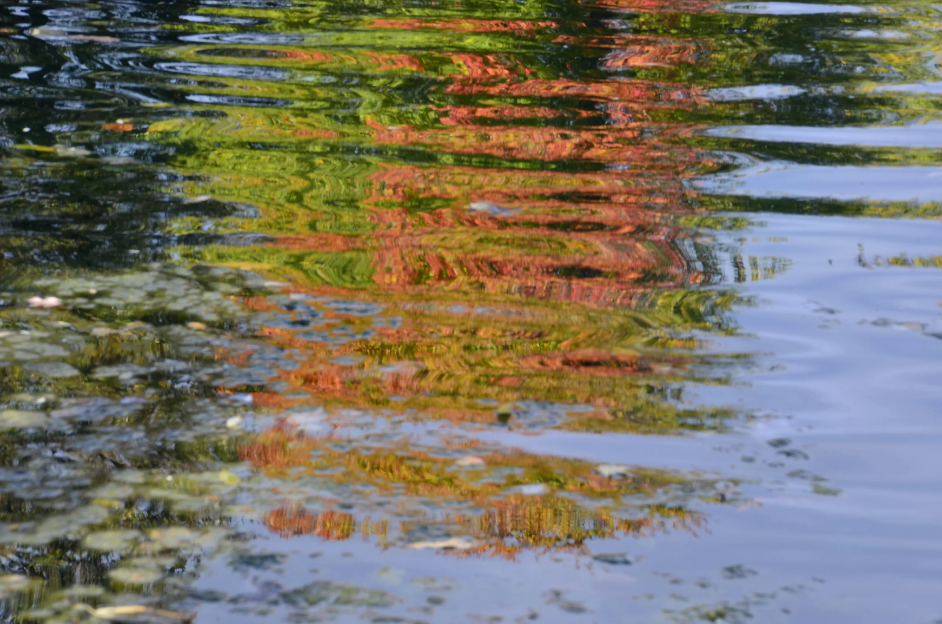Autumn Reflections on the water