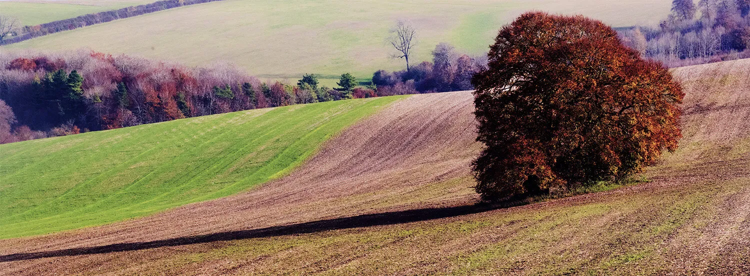Autumn Landscape