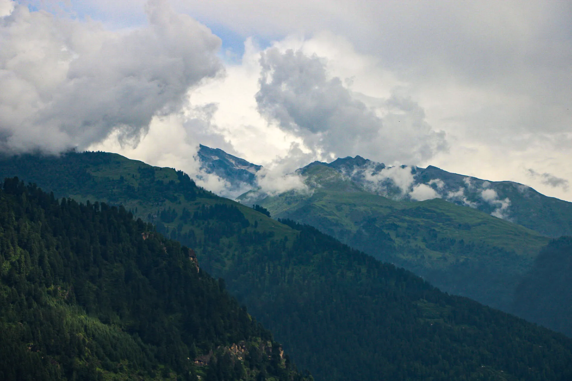 Himalayan Majesties
