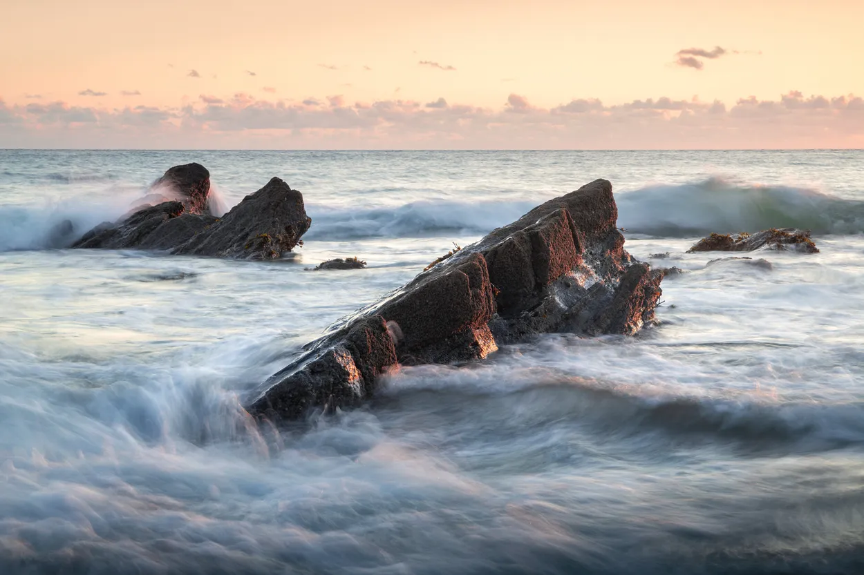DORSAL FINS