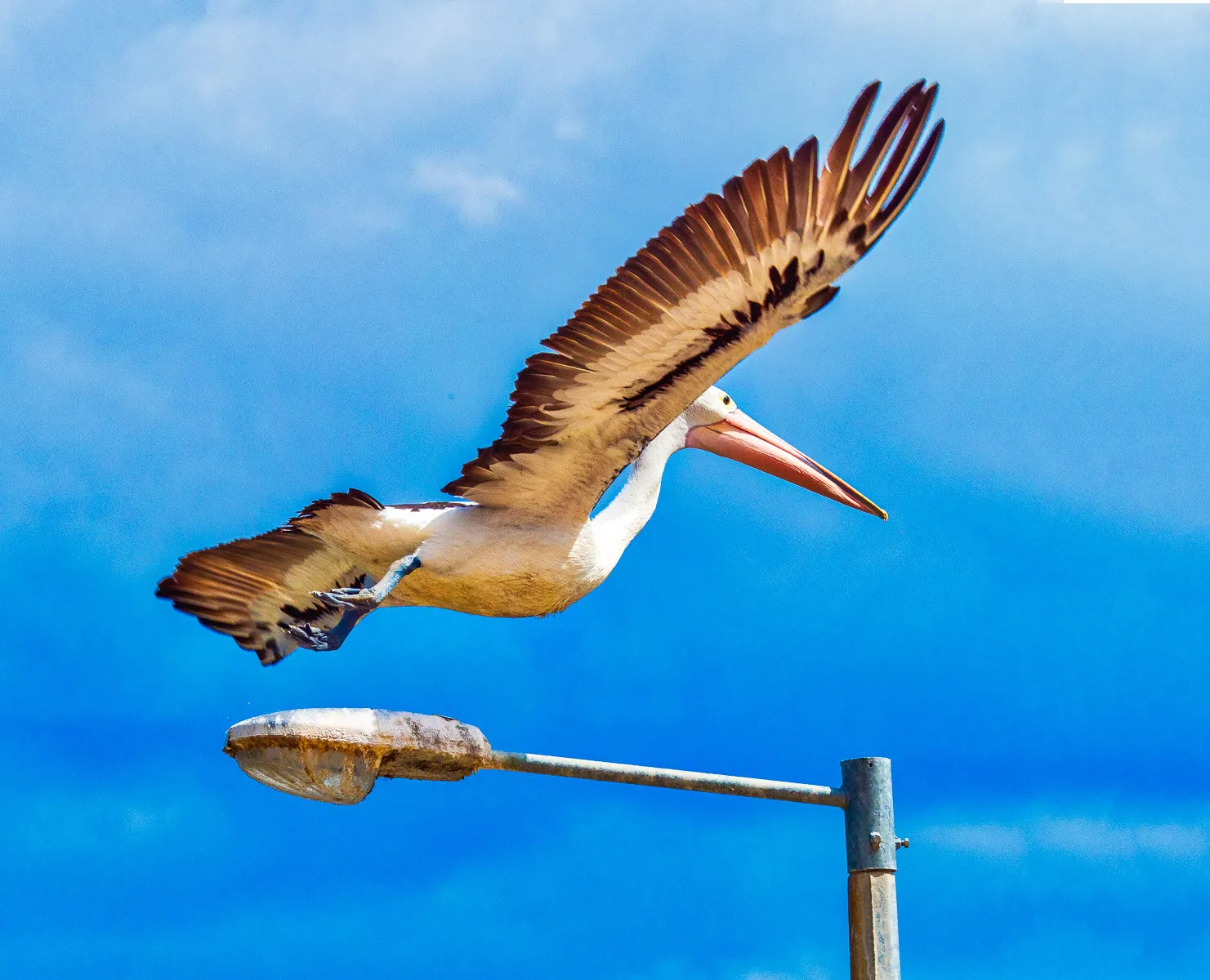 Take Off