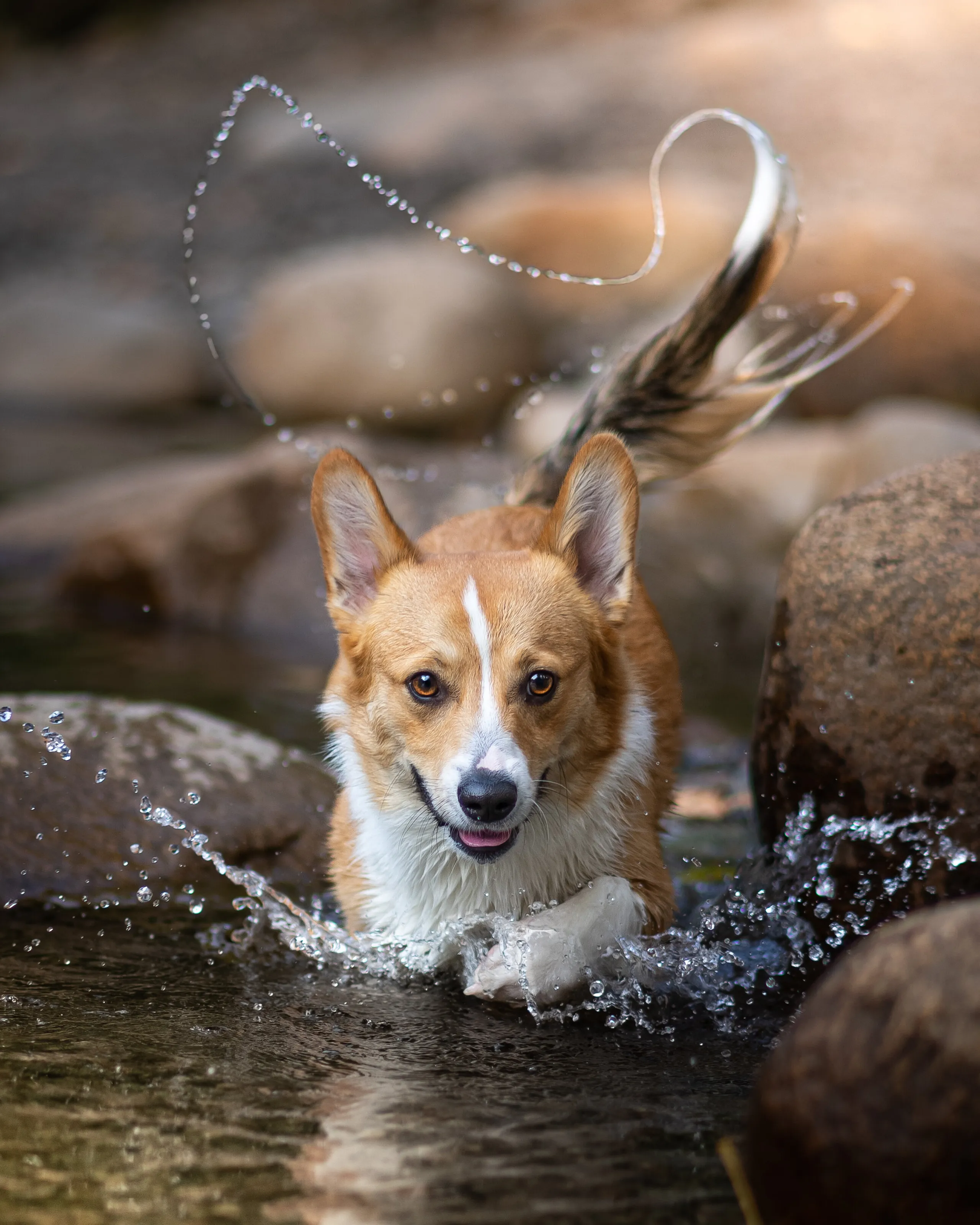 Jacob in the River