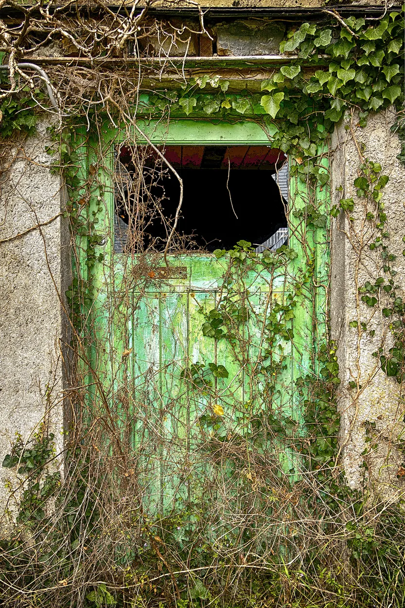 Entry 14209124