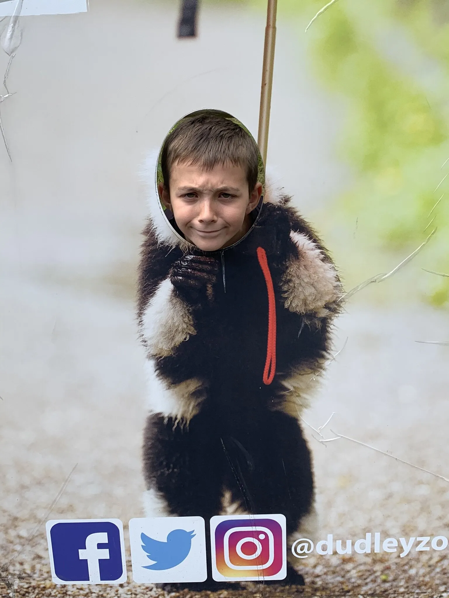 My cheeky monkey