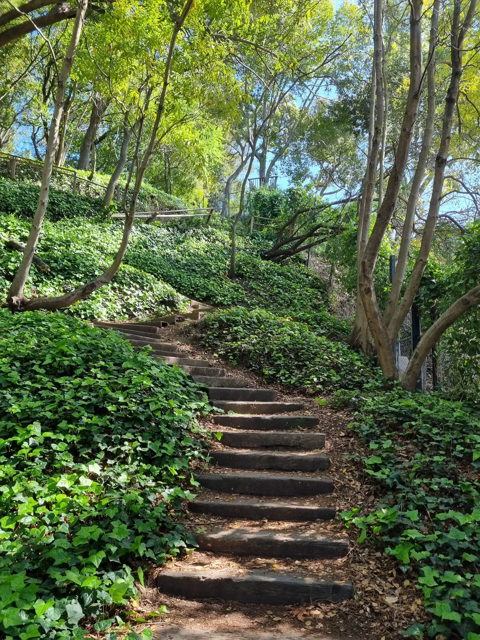 Entry 14218788